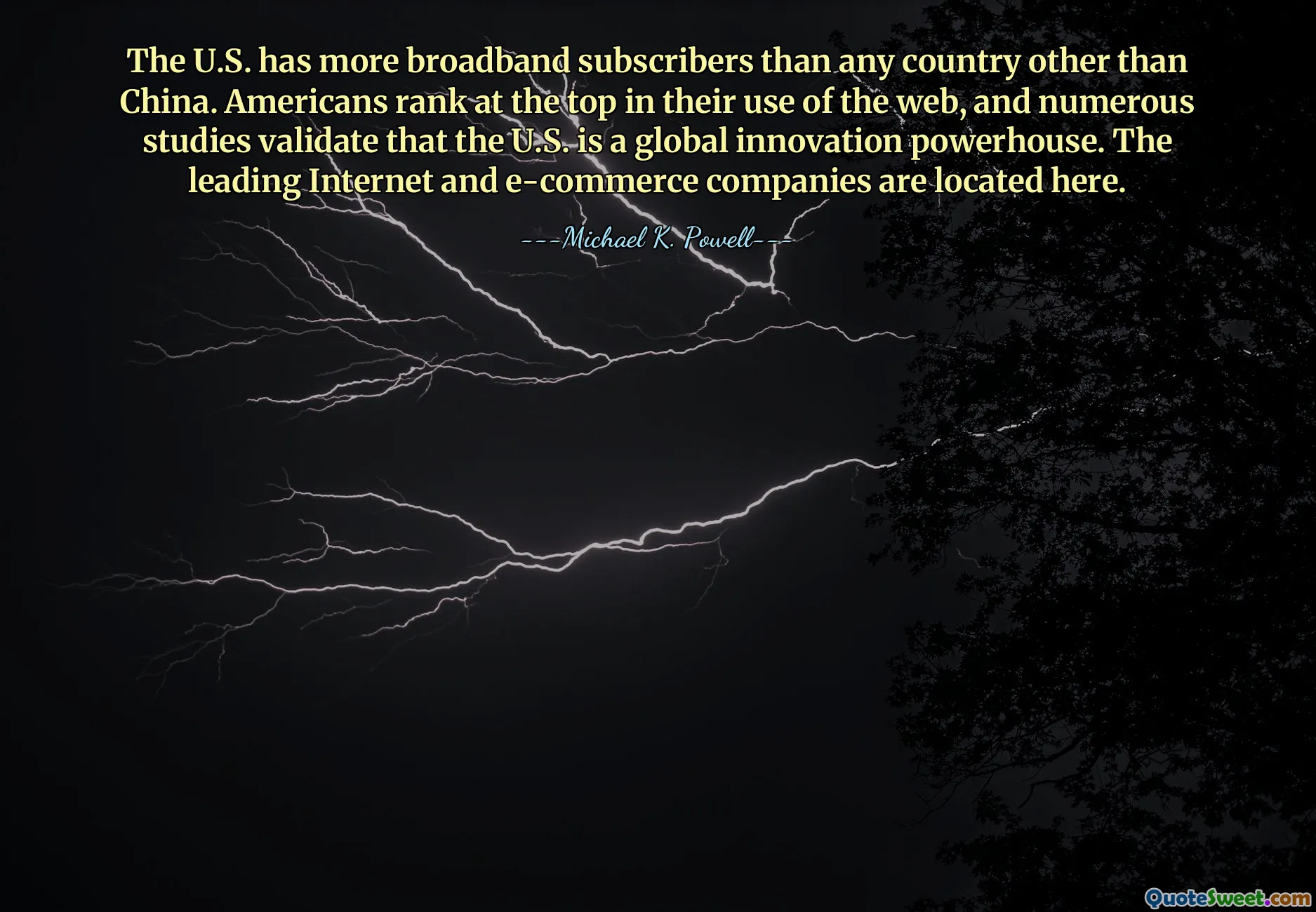 The U.S. has more broadband subscribers than any country other than China. Americans rank at the top in their use of the web, and numerous studies validate that the U.S. is a global innovation powerhouse. The leading Internet and e-commerce companies are located here.