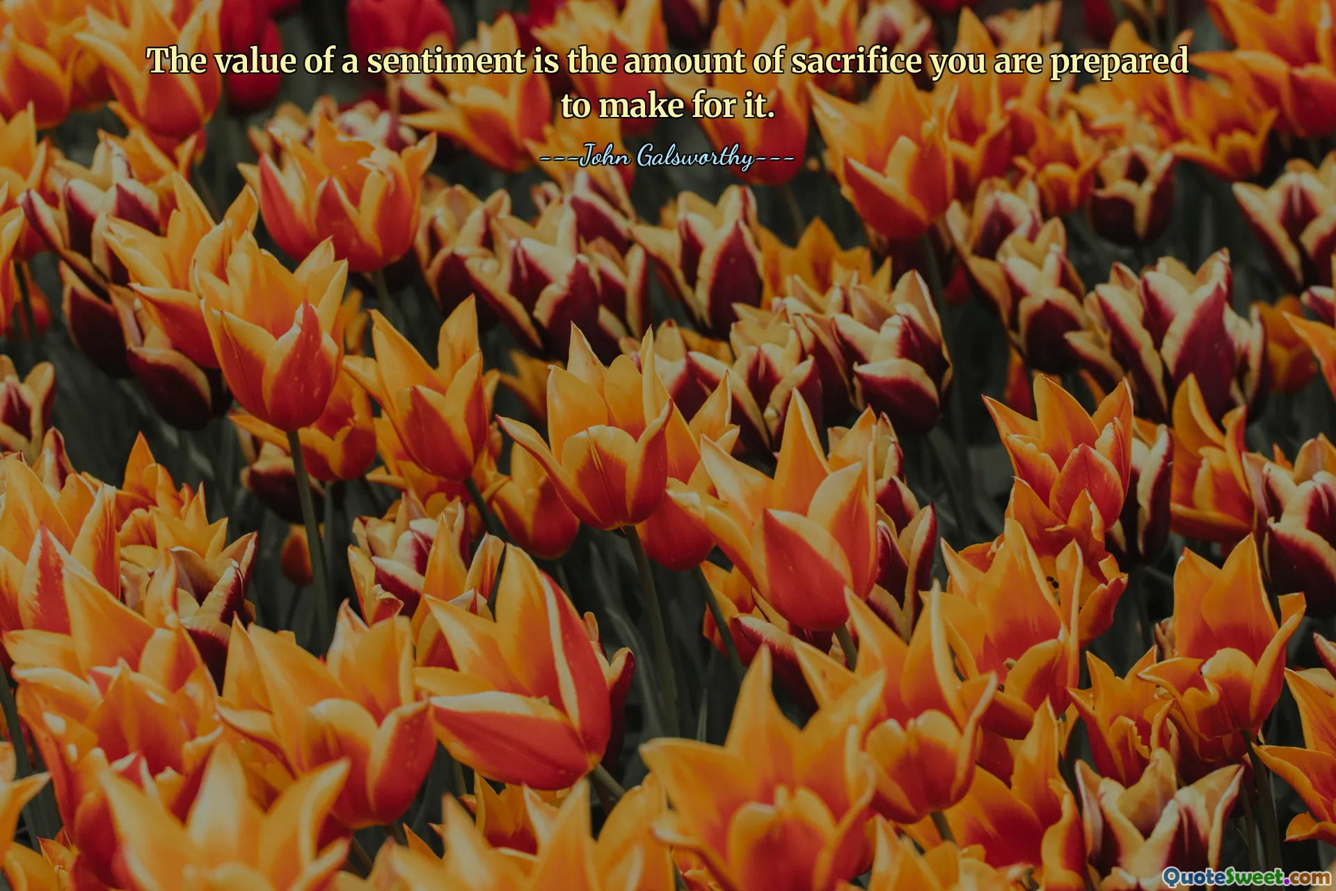 The value of a sentiment is the amount of sacrifice you are prepared to make for it.