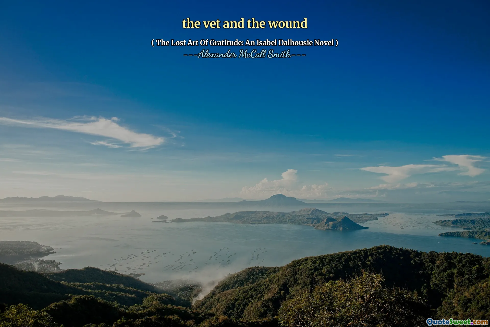 الطبيب البيطري والجرح