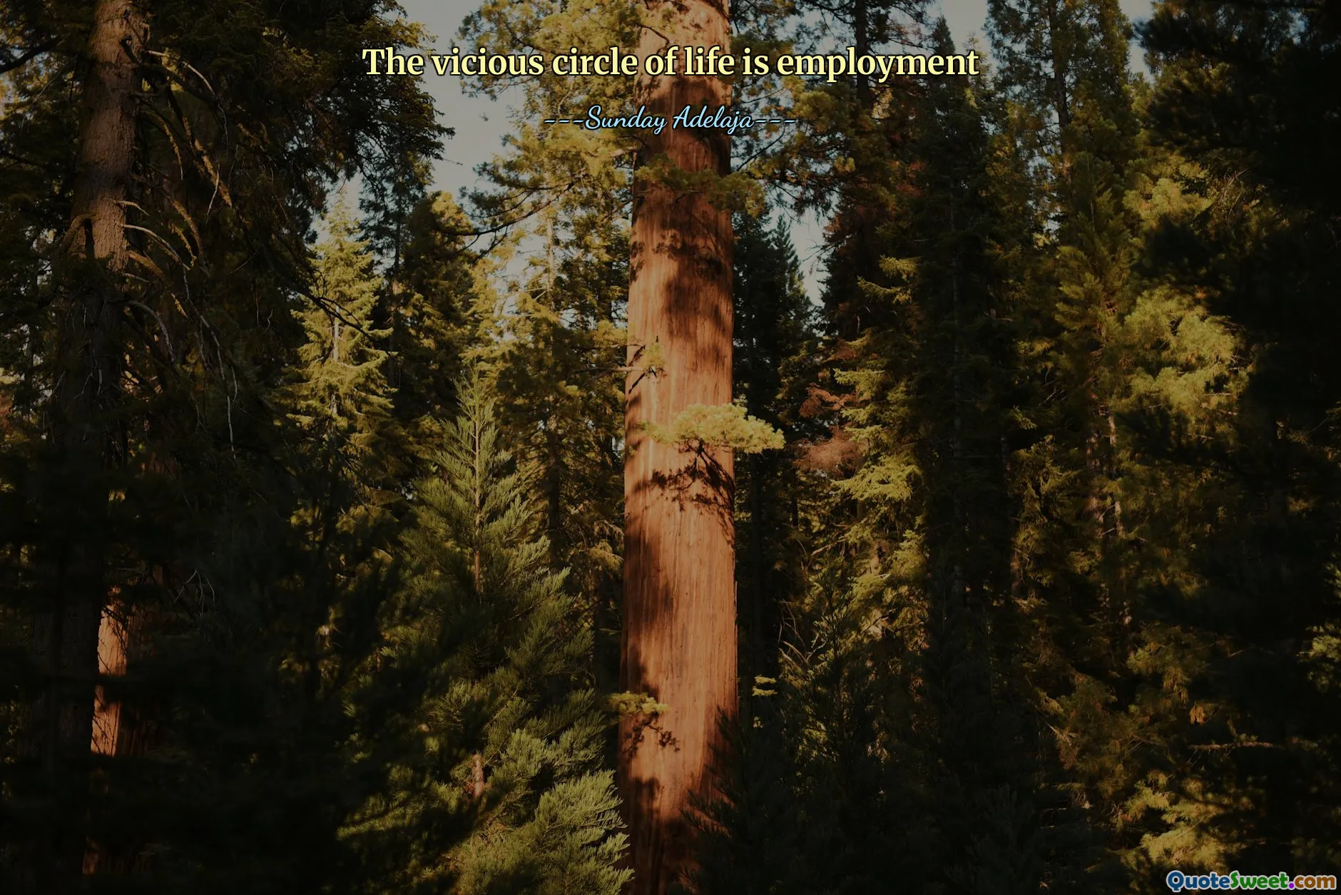 The vicious circle of life is employment