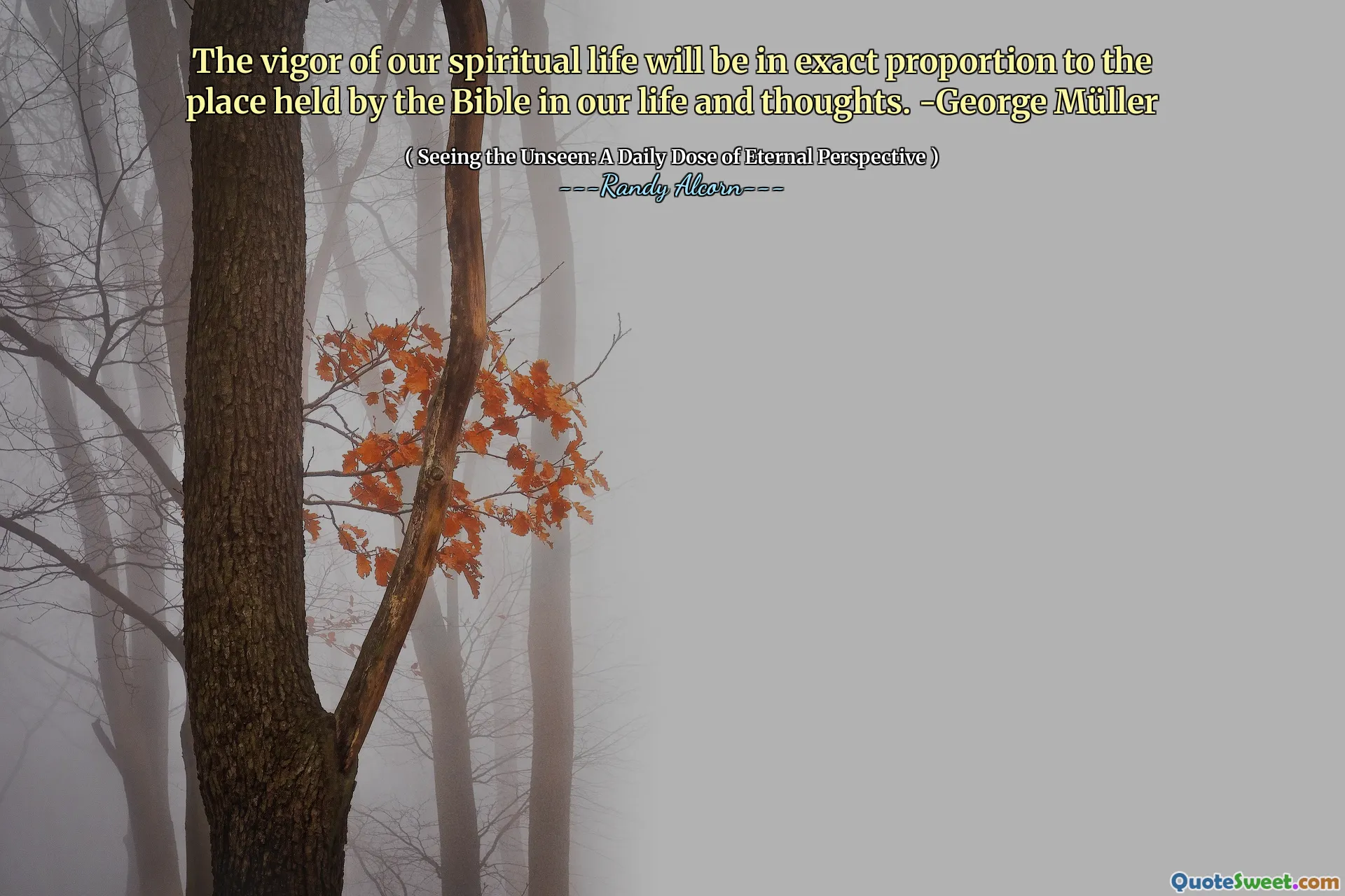 Энергия нашей духовной жизни будет в точной пропорции к месту, принадлежащему Библии в нашей жизни и мыслях. -George Müller
