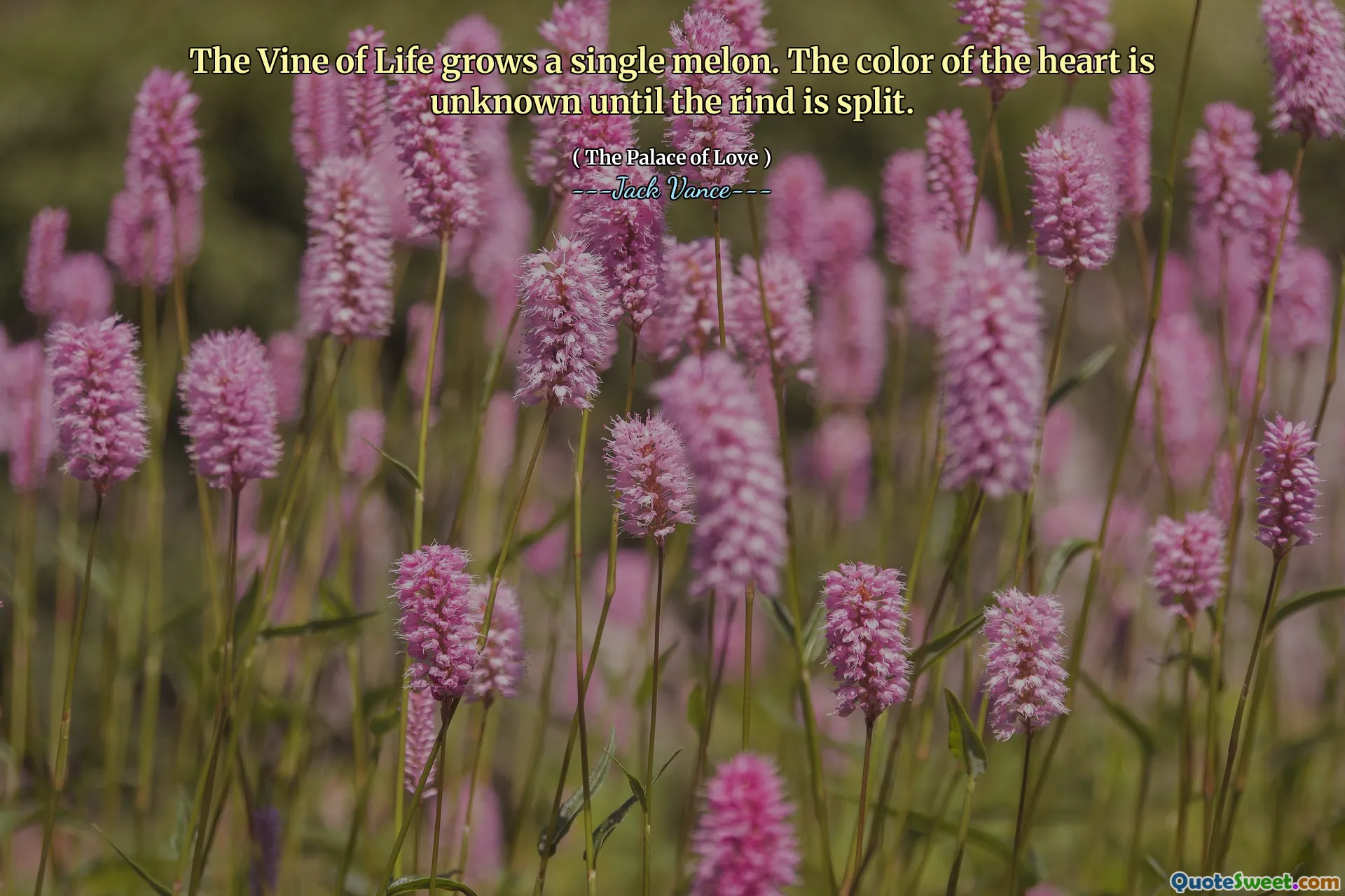 The Vine of Life grows a single melon. The color of the heart is unknown until the rind is split.