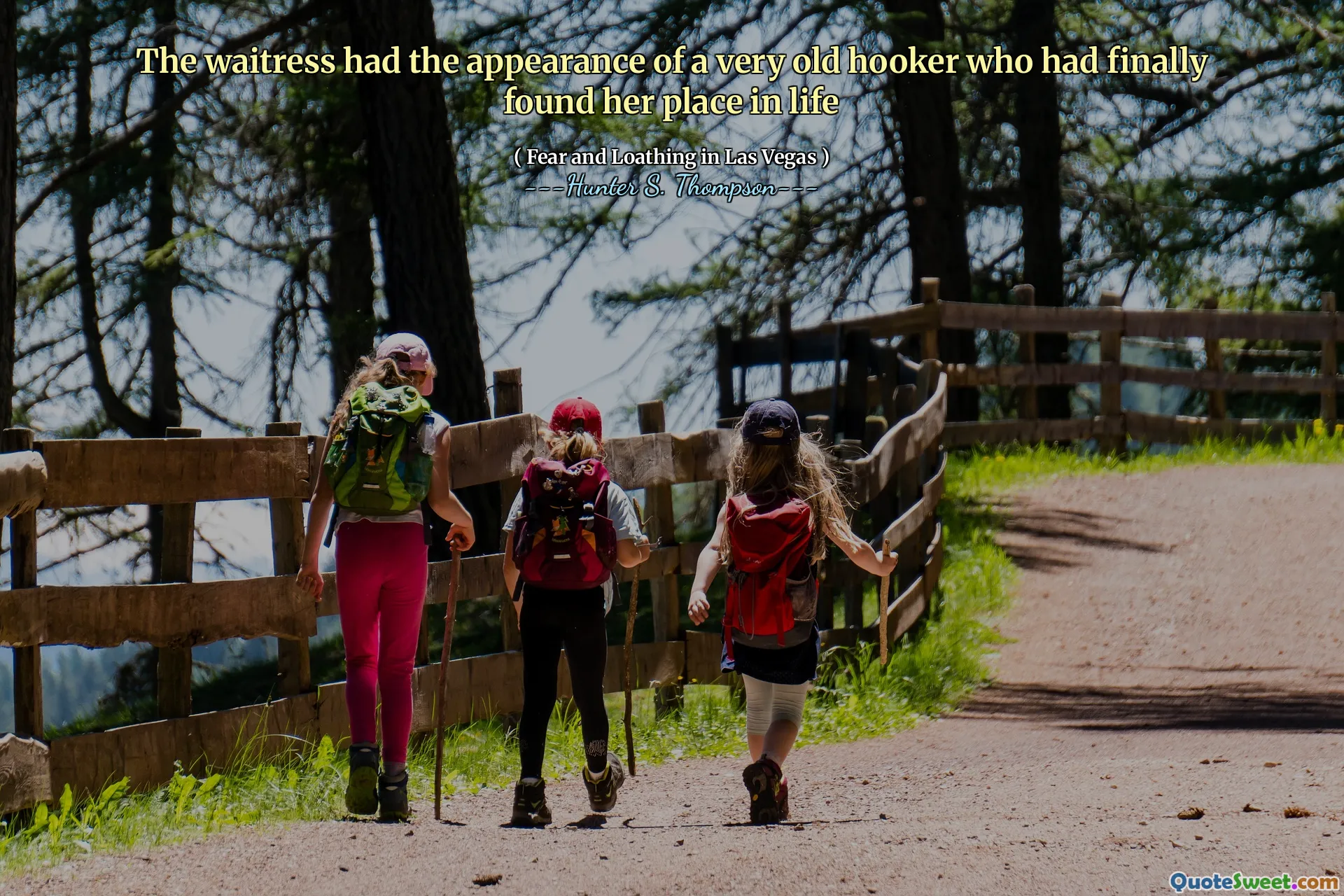 Chelnerița a avut aspectul unui cârlig foarte vechi care și -a găsit în sfârșit locul în viață