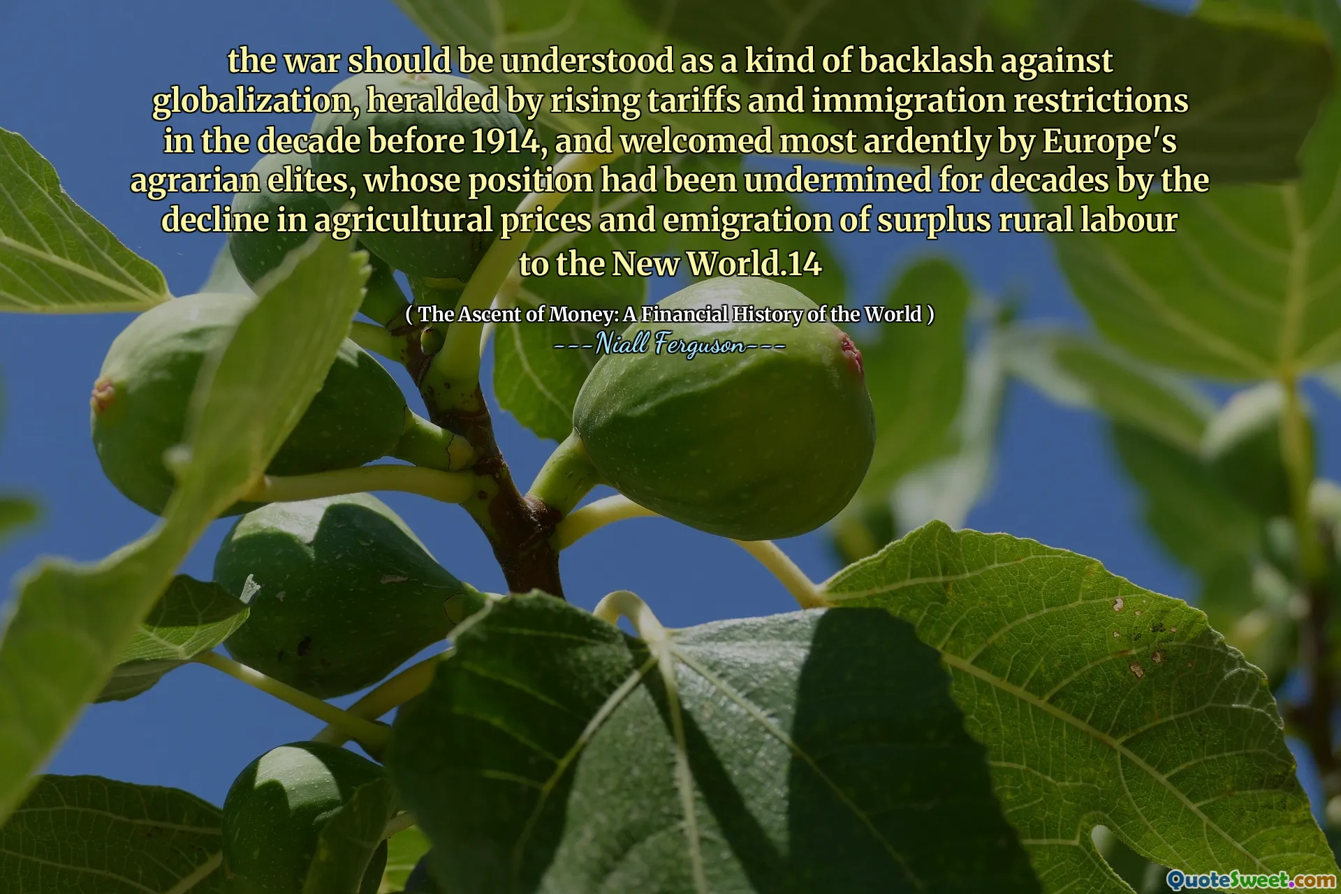 the war should be understood as a kind of backlash against globalization, heralded by rising tariffs and immigration restrictions in the decade before 1914, and welcomed most ardently by Europe's agrarian elites, whose position had been undermined for decades by the decline in agricultural prices and emigration of surplus rural labour to the New World.14