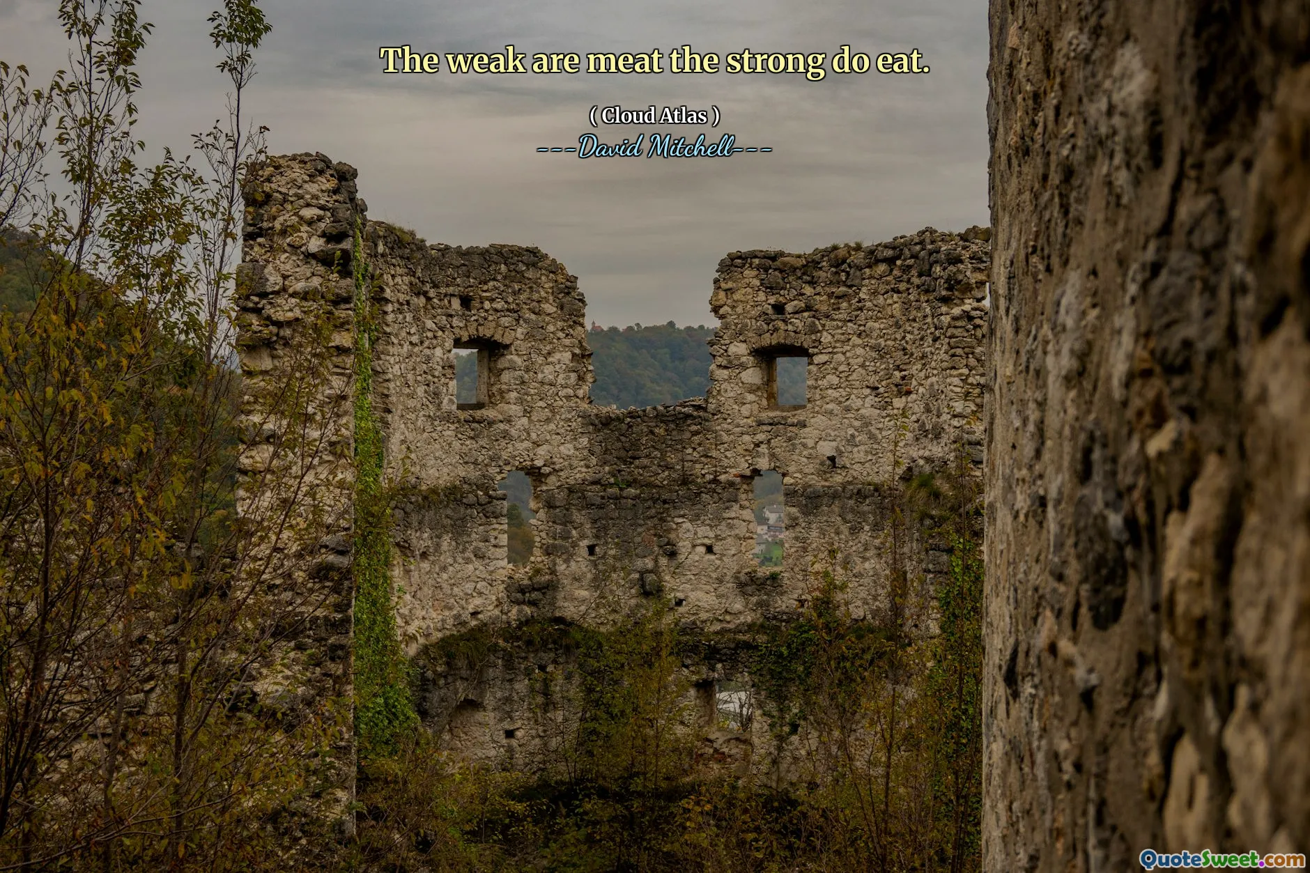 弱者是强者吃的肉。