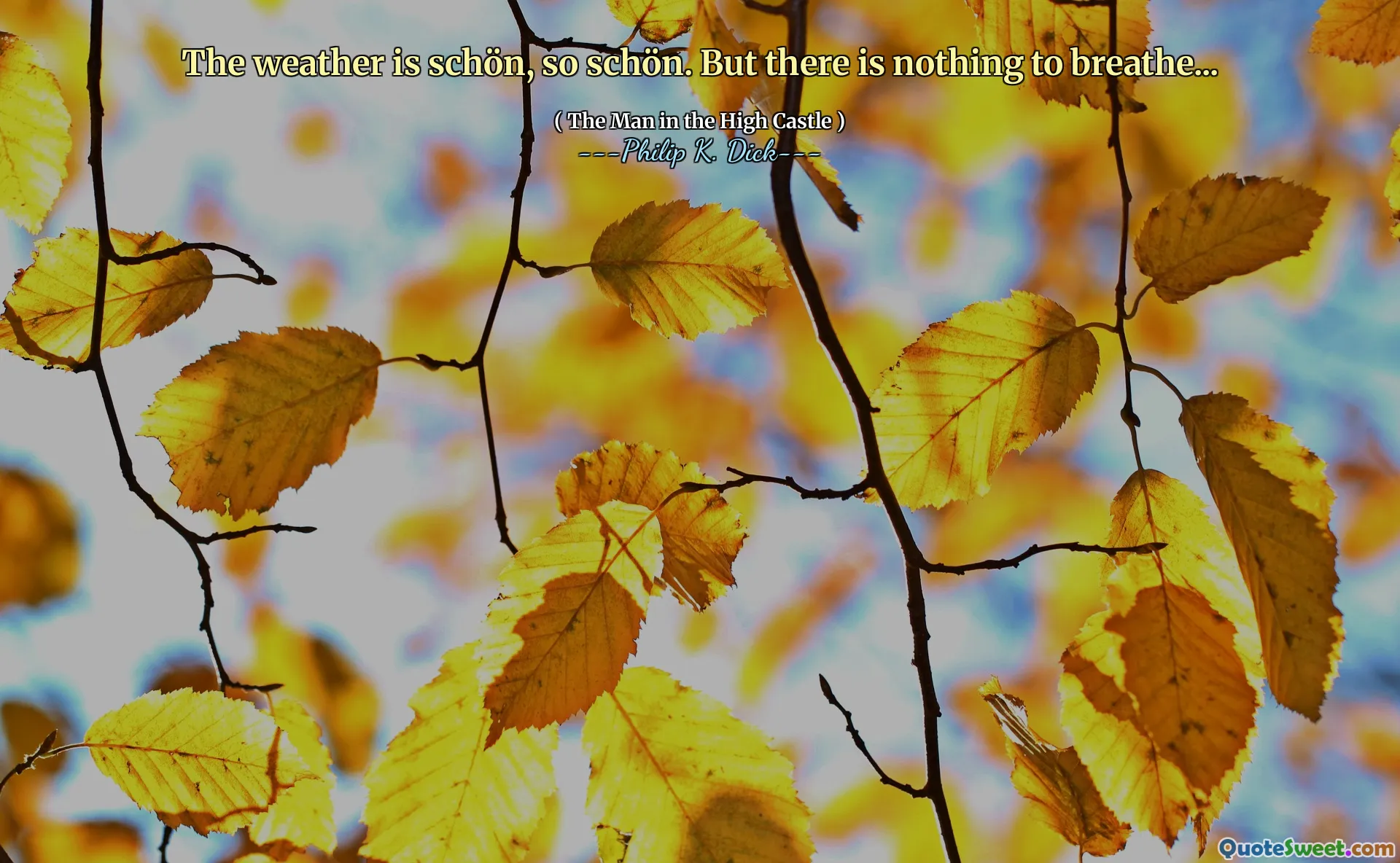 天気はシェーンなので、シェーン。しかし、呼吸するものは何もありません...