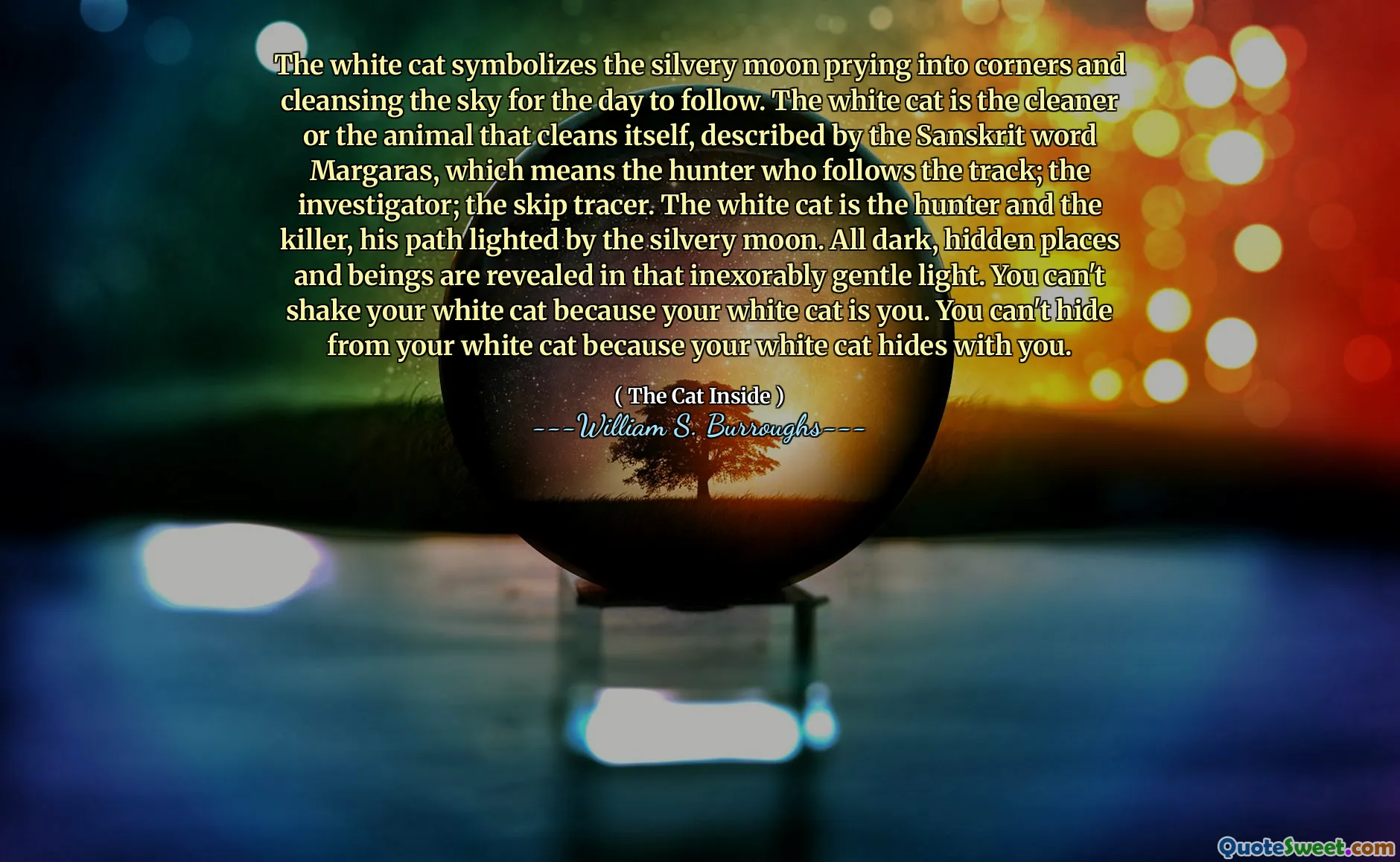 The white cat symbolizes the silvery moon prying into corners and cleansing the sky for the day to follow. The white cat is the cleaner or the animal that cleans itself, described by the Sanskrit word Margaras, which means the hunter who follows the track; the investigator; the skip tracer. The white cat is the hunter and the killer, his path lighted by the silvery moon. All dark, hidden places and beings are revealed in that inexorably gentle light. You can't shake your white cat because your white cat is you. You can't hide from your white cat because your white cat hides with you.