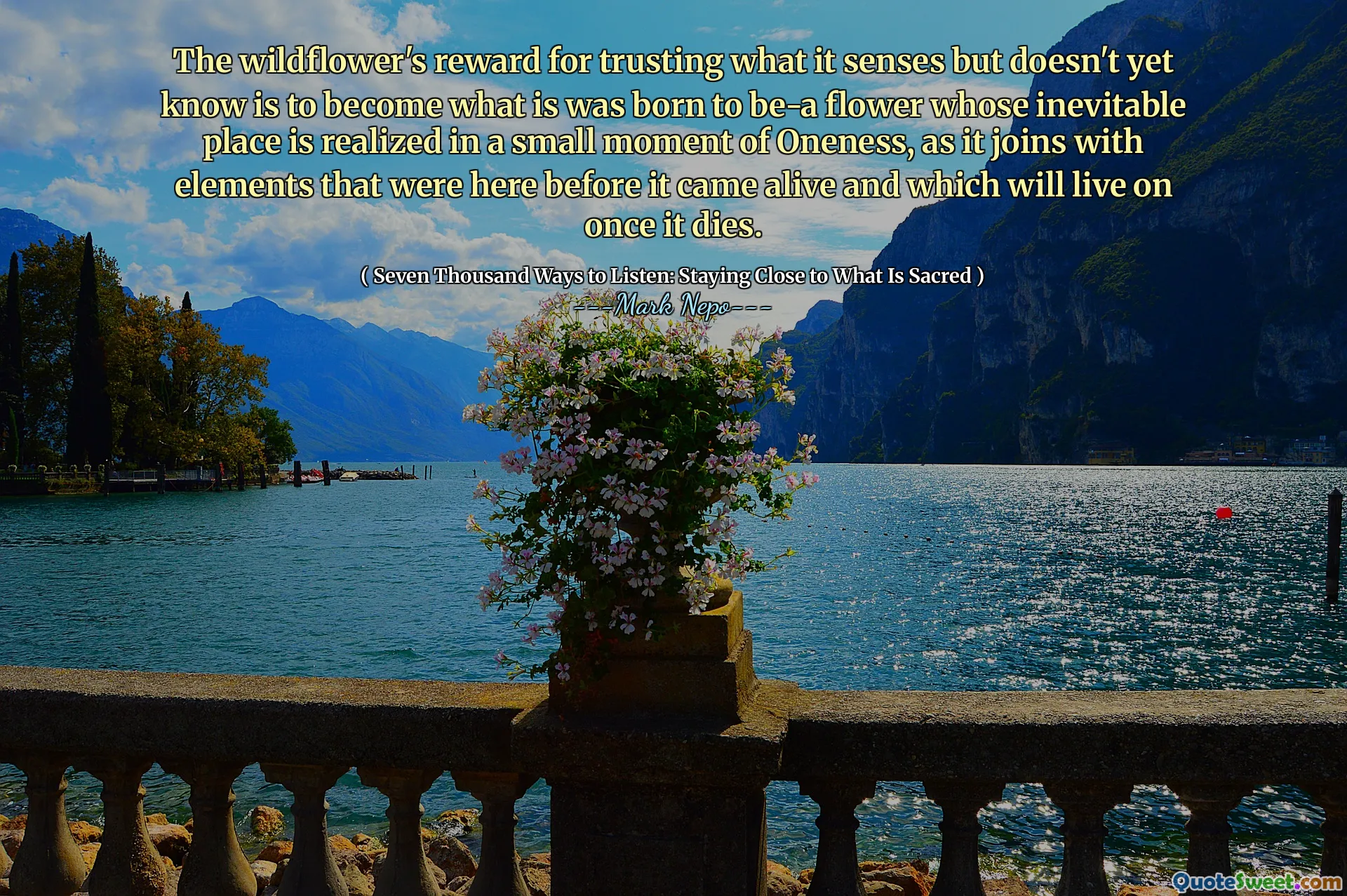 Recompensa de flori sălbatice pentru a avea încredere în ceea ce simte, dar încă nu știe să devină ceea ce s-a născut pentru a fi o floare al cărui loc inevitabil este realizat într-un moment mic de unitate, deoarece se alătură cu elemente care au fost aici înainte de a ajunge în viață și care vor trăi odată ce va muri.