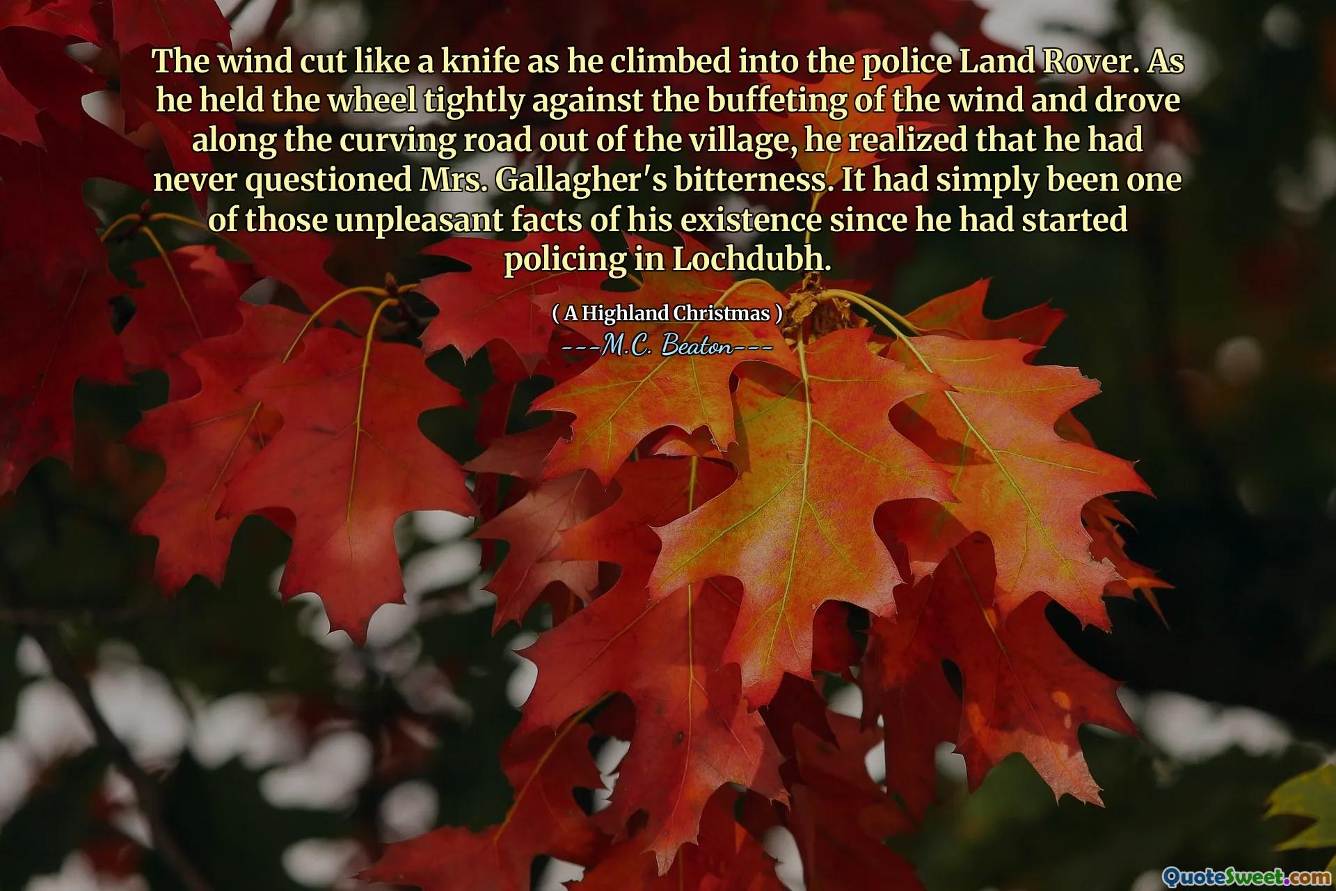 The wind cut like a knife as he climbed into the police Land Rover. As he held the wheel tightly against the buffeting of the wind and drove along the curving road out of the village, he realized that he had never questioned Mrs. Gallagher's bitterness. It had simply been one of those unpleasant facts of his existence since he had started policing in Lochdubh.