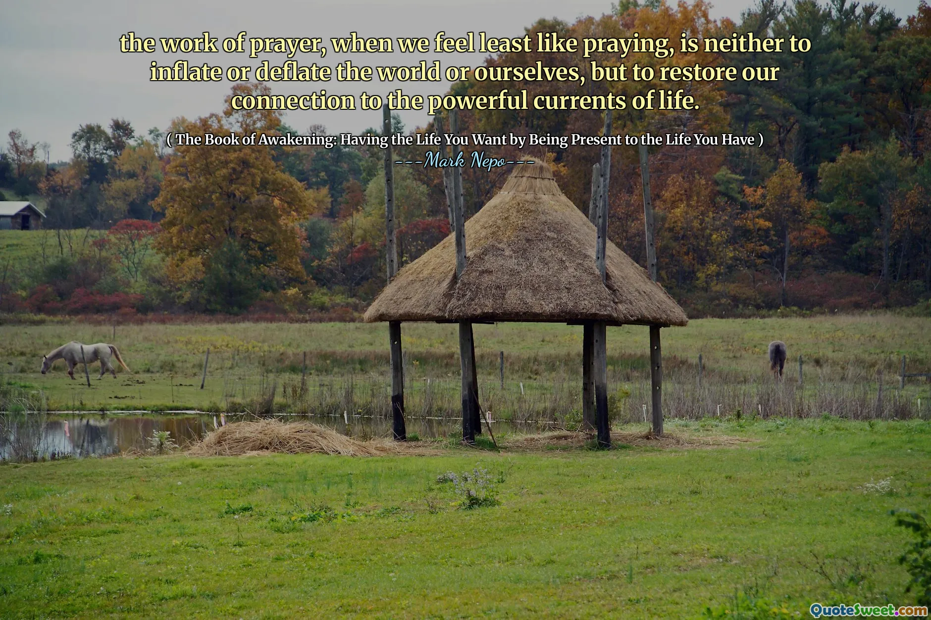 إن عمل الصلاة ، عندما نشعر بأننا مثل الصلاة ، ليس هو تضخيم العالم أو أن ينحرفهم أو أنفسنا ، بل استعادة علاقتنا بعبارات الحياة القوية.