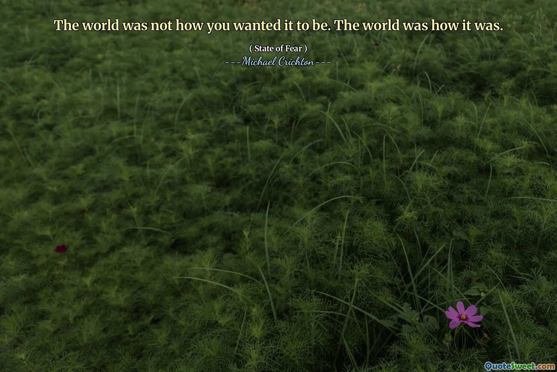 Die Welt war nicht so, wie Sie es wollten. Die Welt war so, wie es war.