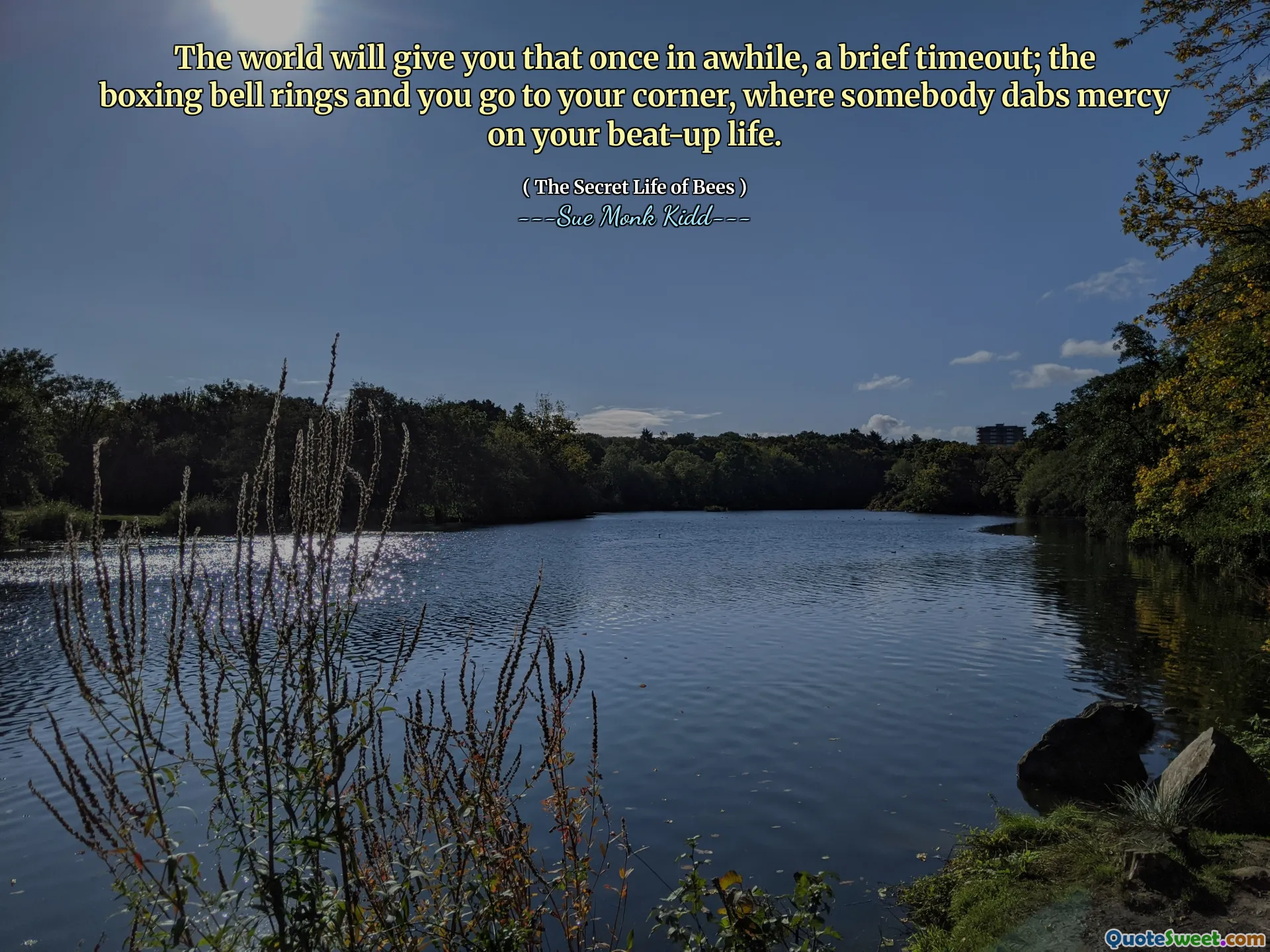El mundo te dará eso de vez en cuando, un breve tiempo de espera; Suena la campana de boxeo y vas a tu esquina, donde alguien atrae a la misericordia de tu vida golpeada.