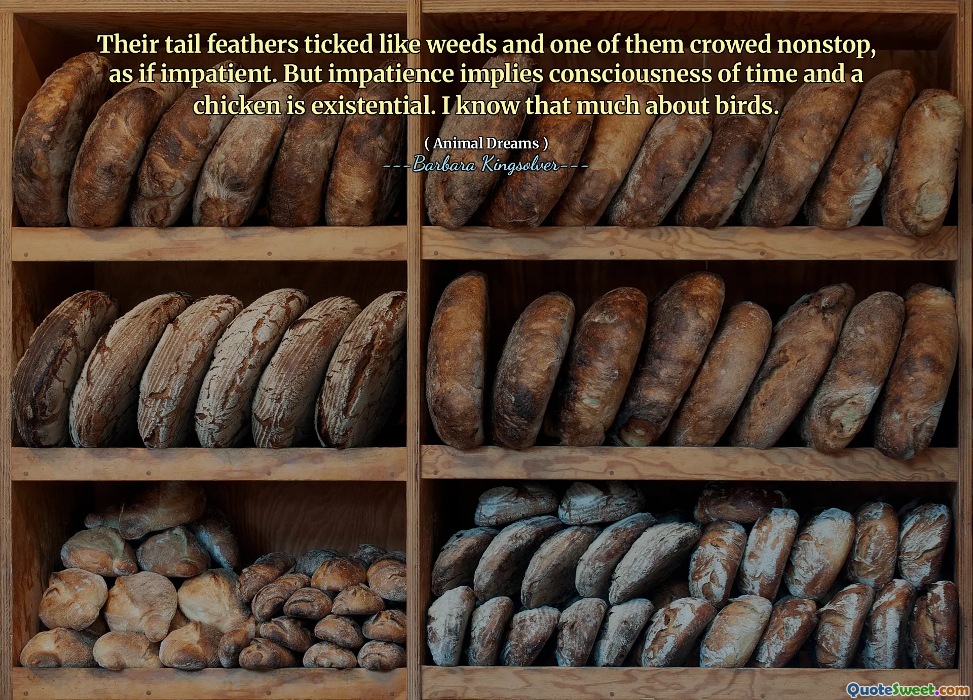 Pene de coadă au bifat ca buruienile și unul dintre ele nu a înghesuit, ca și cum ar fi nerăbdător. Dar nerăbdarea implică conștiința timpului și un pui este existențial. Știu atât de multe despre păsări.