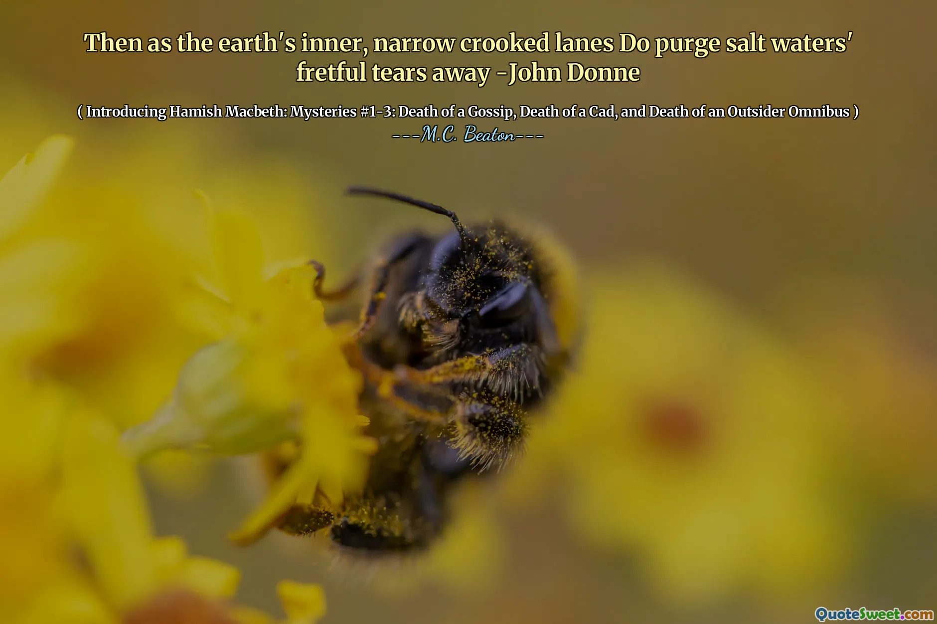 Then as the earth's inner, narrow crooked lanes Do purge salt waters' fretful tears away -John Donne