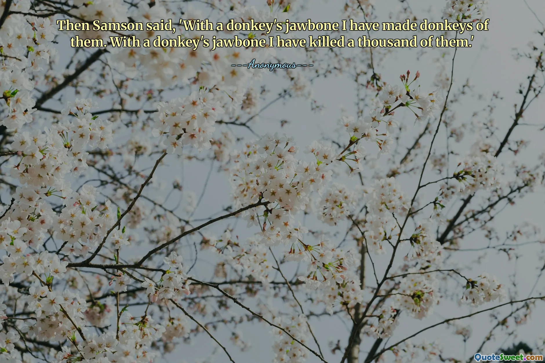 Then Samson said, 'With a donkey's jawbone I have made donkeys of them. With a donkey's jawbone I have killed a thousand of them.'