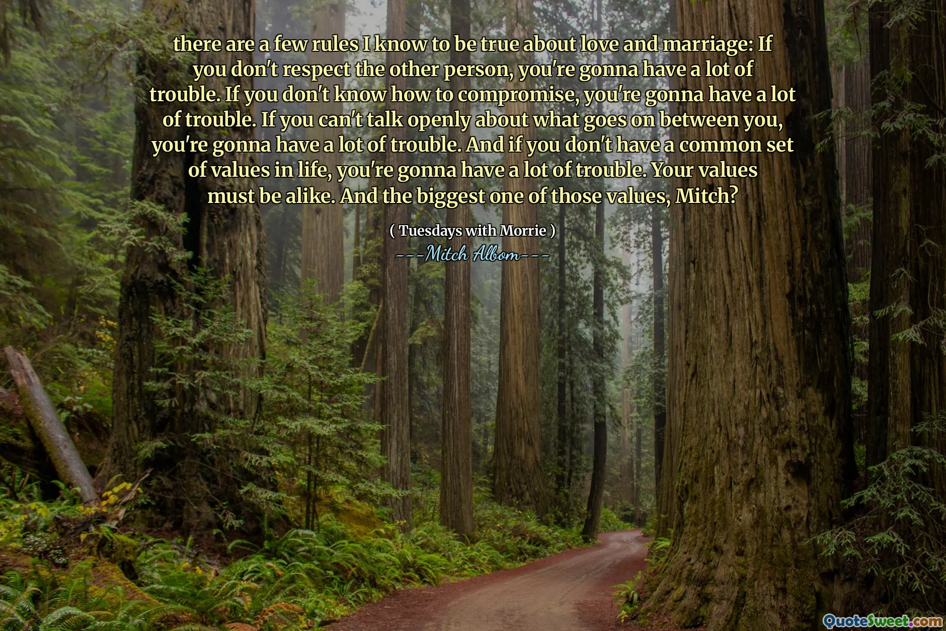 there are a few rules I know to be true about love and marriage: If you don't respect the other person, you're gonna have a lot of trouble. If you don't know how to compromise, you're gonna have a lot of trouble. If you can't talk openly about what goes on between you, you're gonna have a lot of trouble. And if you don't have a common set of values in life, you're gonna have a lot of trouble. Your values must be alike. And the biggest one of those values, Mitch?