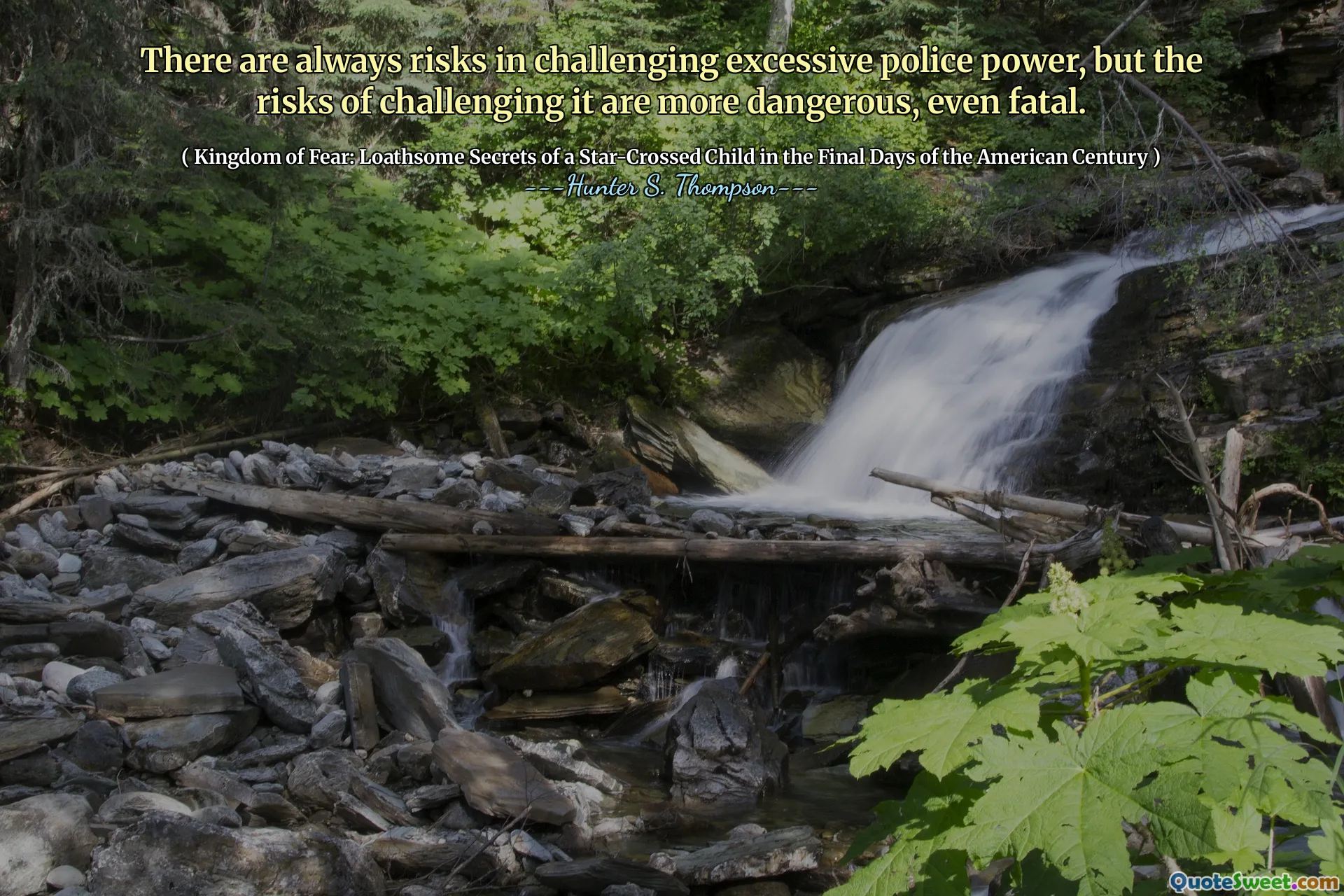 挑战过度的警察权力总是有风险，但是挑战它的风险更危险，甚至致命。