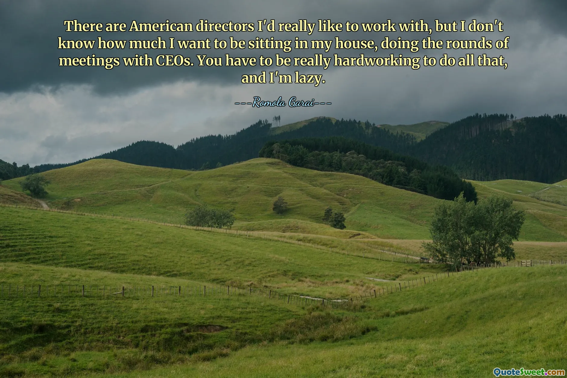 Hay directores estadounidenses con los que realmente me gustaría trabajar, pero no sé cuánto deseo estar sentado en mi casa, haciendo rondas de reuniones con los directores ejecutivos. Hay que ser muy trabajador para hacer todo eso, y yo soy un vago.