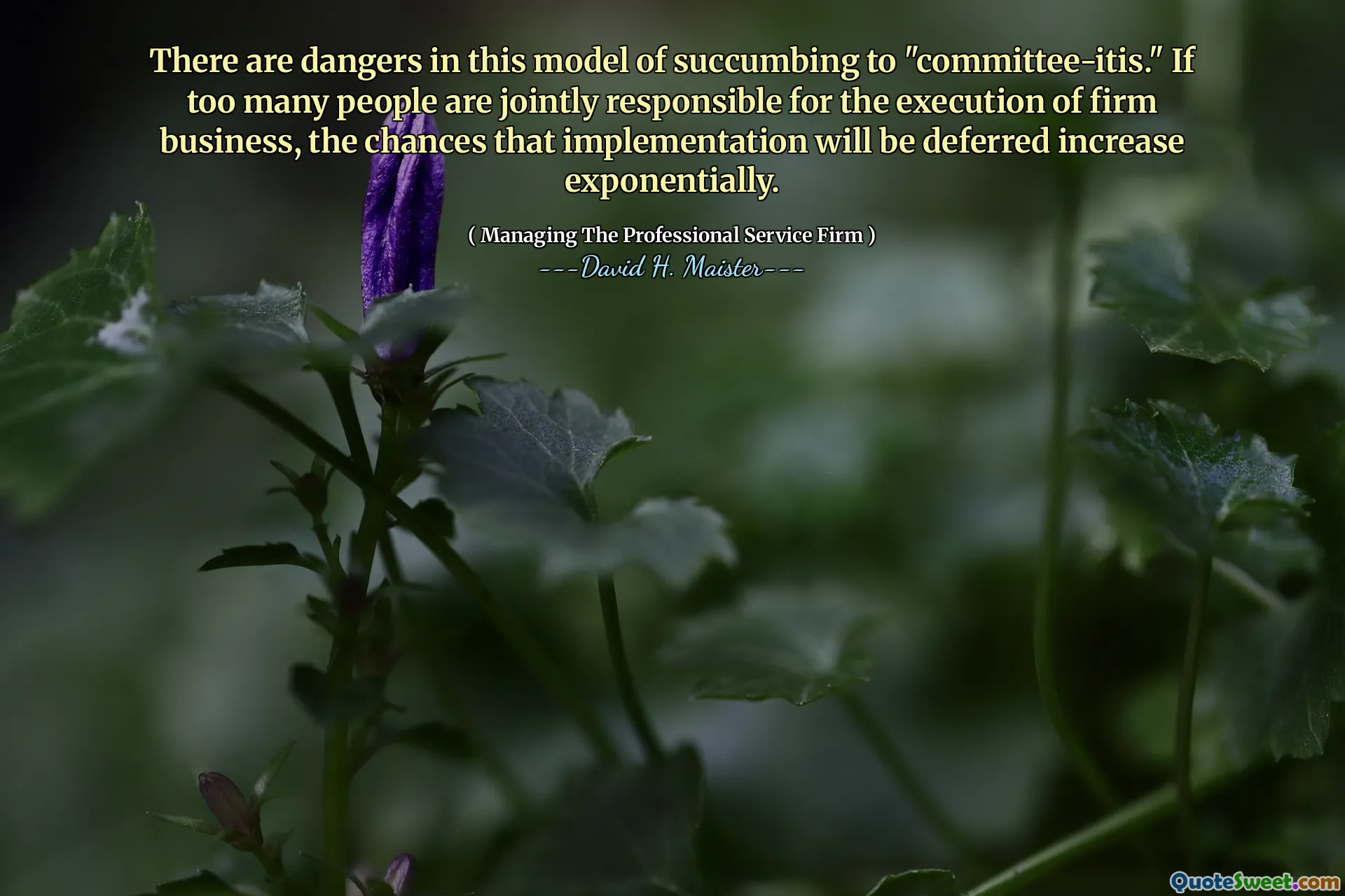 V tomto modelu podlehnutí „výboru-itidy“ jsou nebezpečí. Pokud je příliš mnoho lidí společně zodpovědné za provádění firmy, šance, že implementace bude odložena exponenciálně.