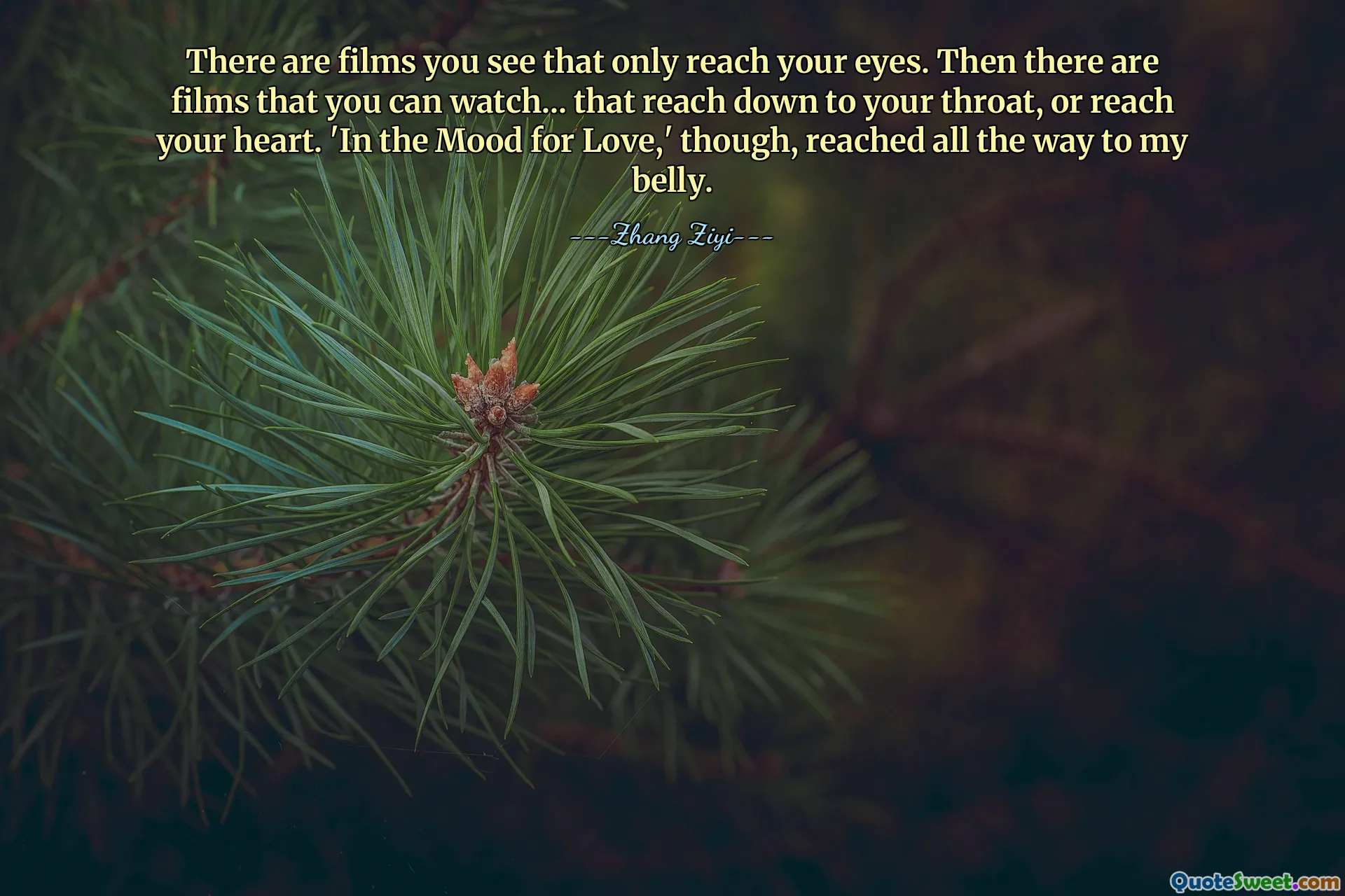 There are films you see that only reach your eyes. Then there are films that you can watch... that reach down to your throat, or reach your heart. 'In the Mood for Love,' though, reached all the way to my belly.