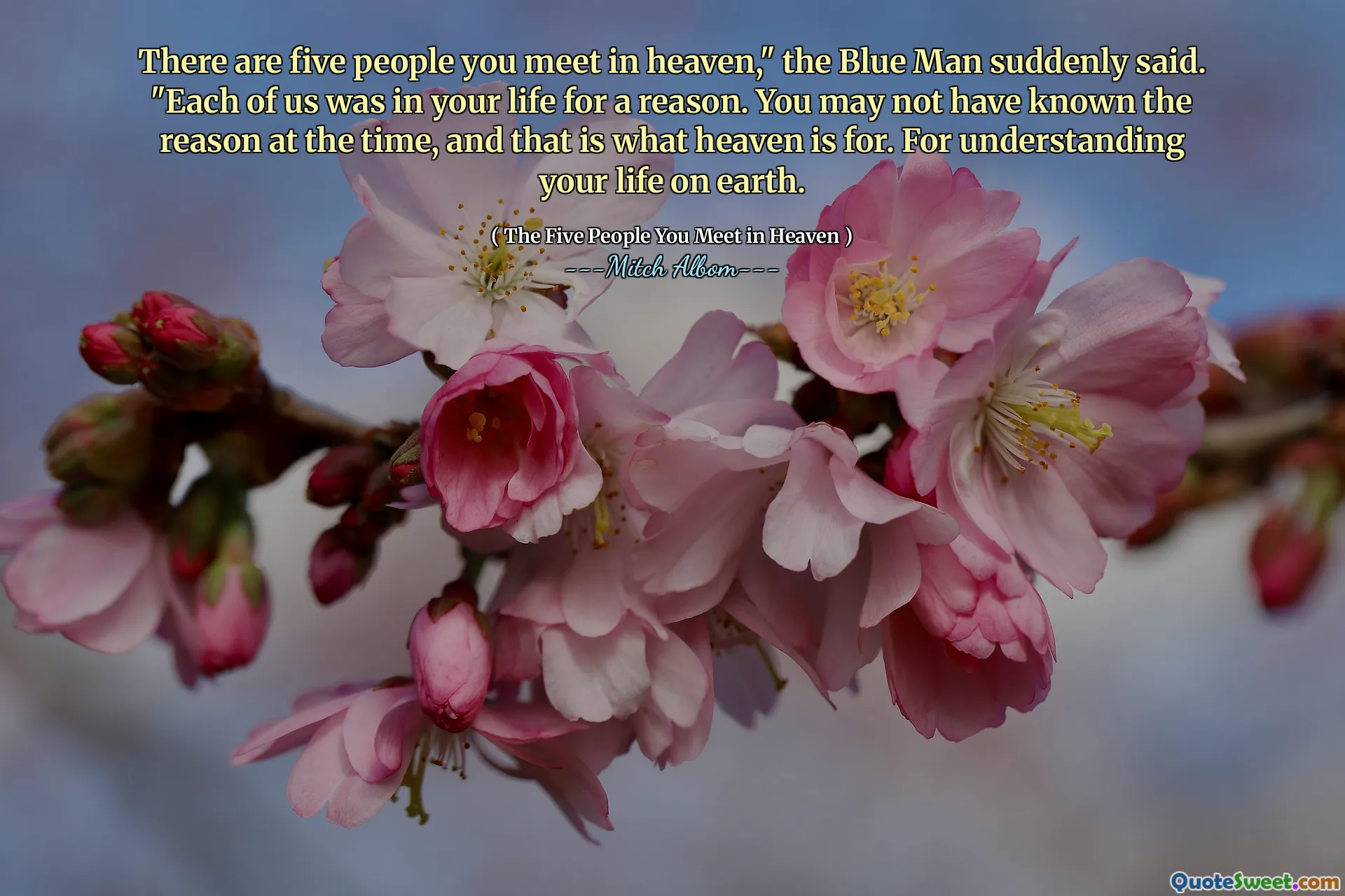 V nebi se setkáváte pět lidí, “najednou řekl modrý muž.„ Každý z nás byl ve vašem životě z nějakého důvodu. Možná jste v té době neznali důvod, a to je to, pro co je nebe. Za pochopení vašeho života na Zemi.