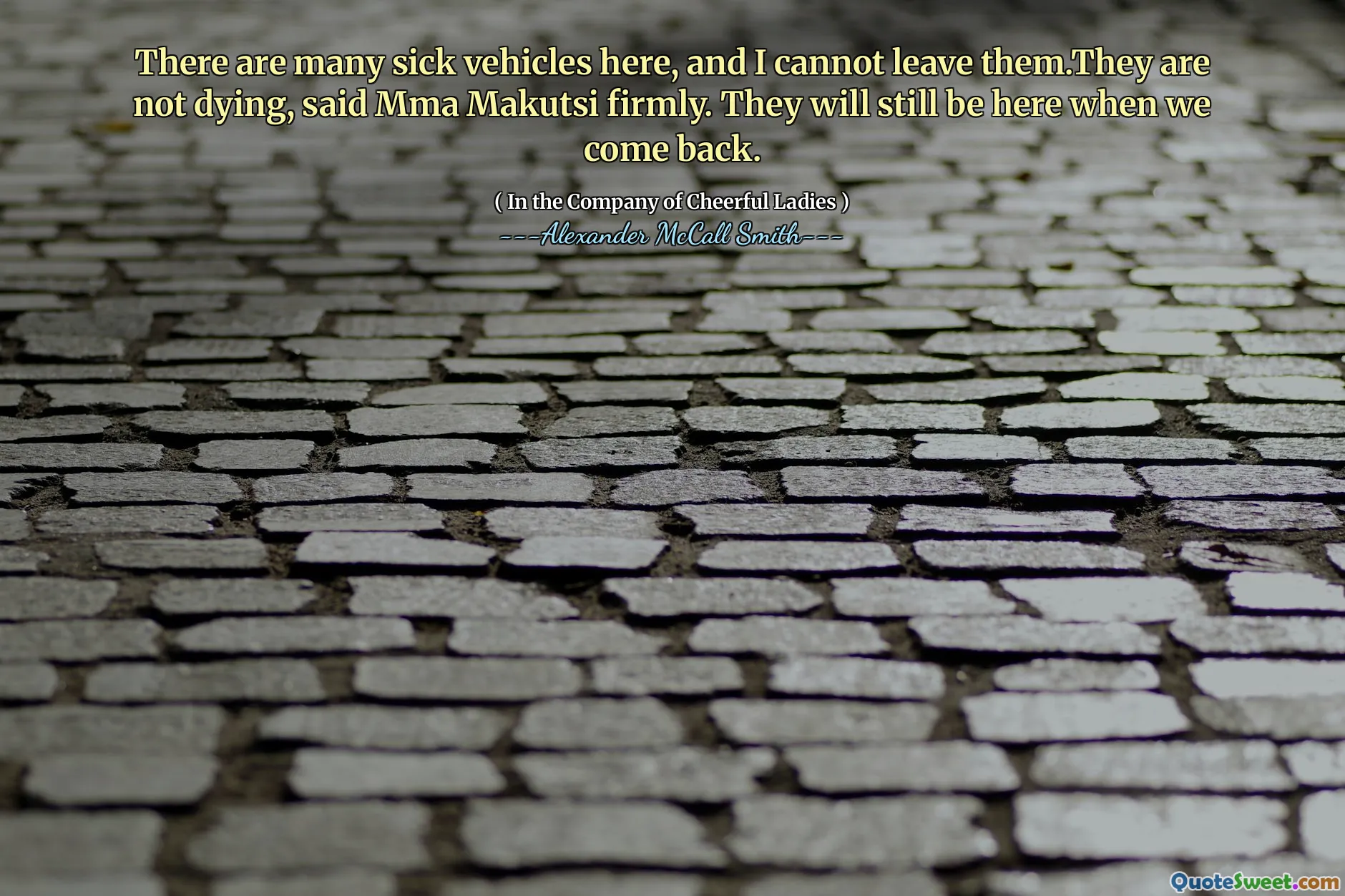 MMA Makutsi坚定地说，这里有很多病车，我不能离开它们。当我们回来时，他们仍然会在这里。