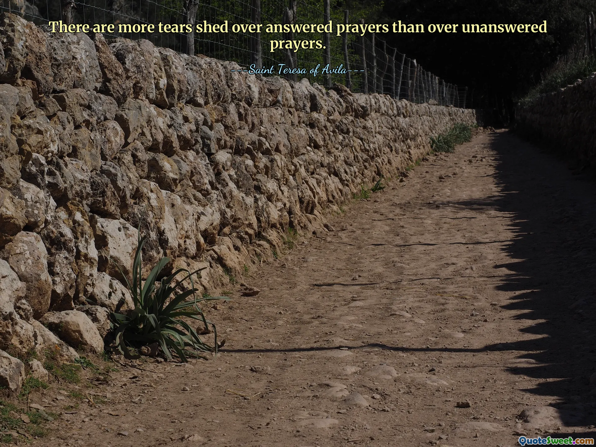 There are more tears shed over answered prayers than over unanswered prayers.