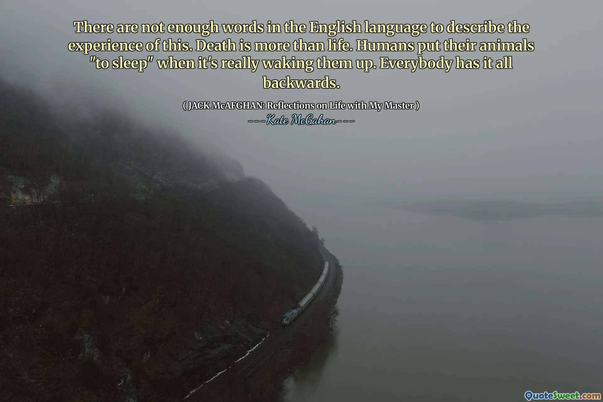There are not enough words in the English language to describe the experience of this. Death is more than life. Humans put their animals "to sleep" when it's really waking them up. Everybody has it all backwards.