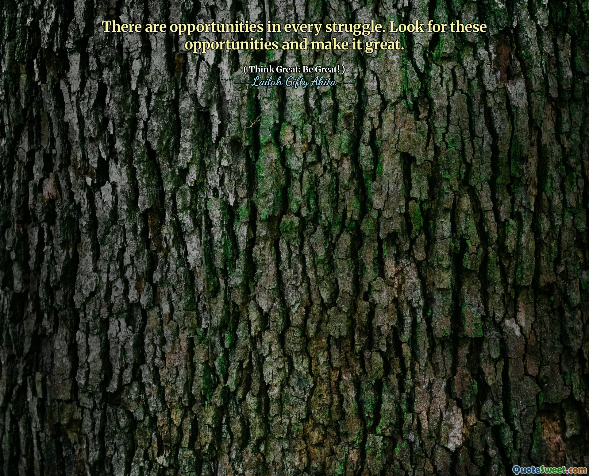 There are opportunities in every struggle. Look for these opportunities and make it great.