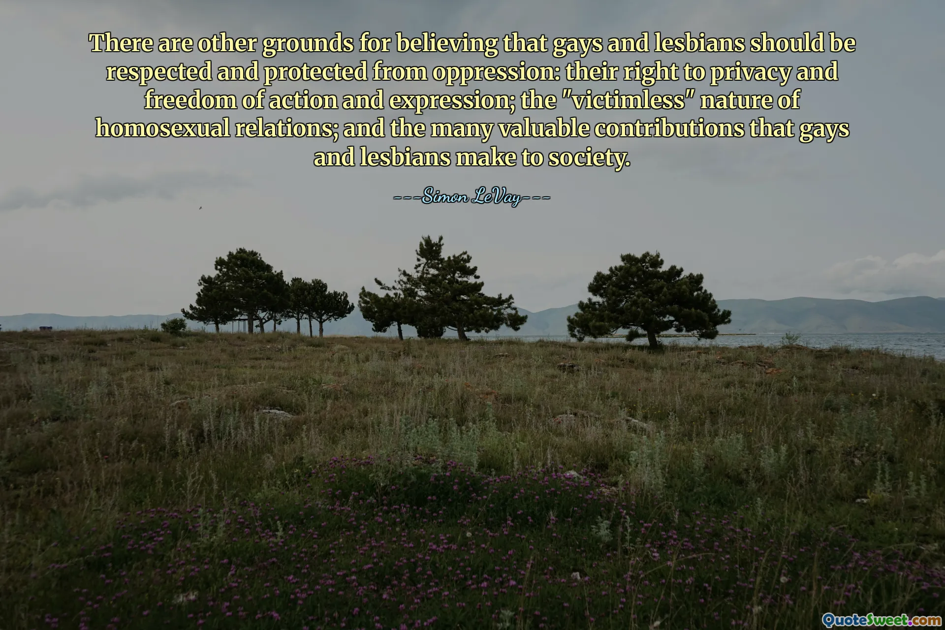There are other grounds for believing that gays and lesbians should be respected and protected from oppression: their right to privacy and freedom of action and expression; the "victimless" nature of homosexual relations; and the many valuable contributions that gays and lesbians make to society.