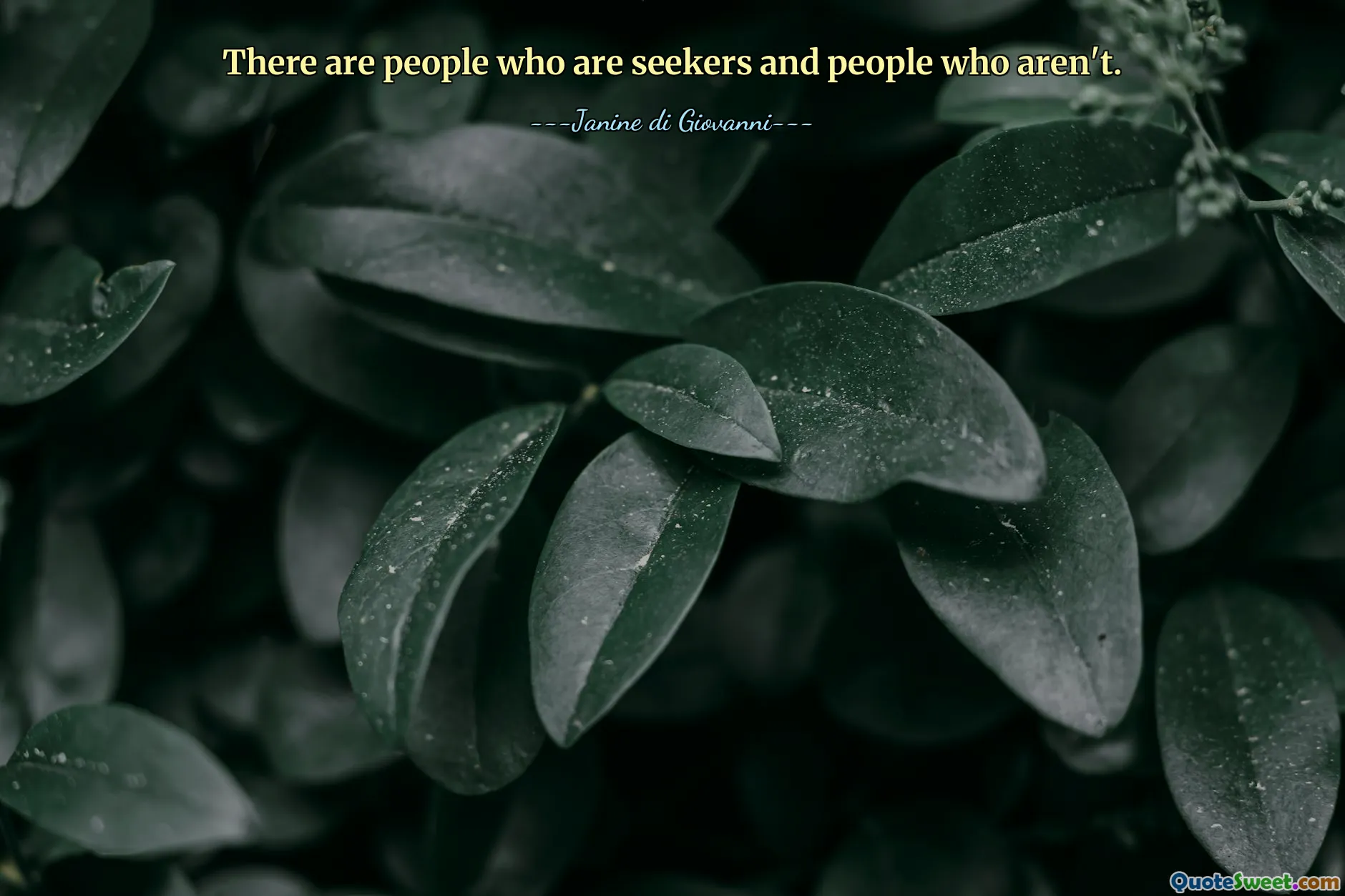 There are people who are seekers and people who aren't.
