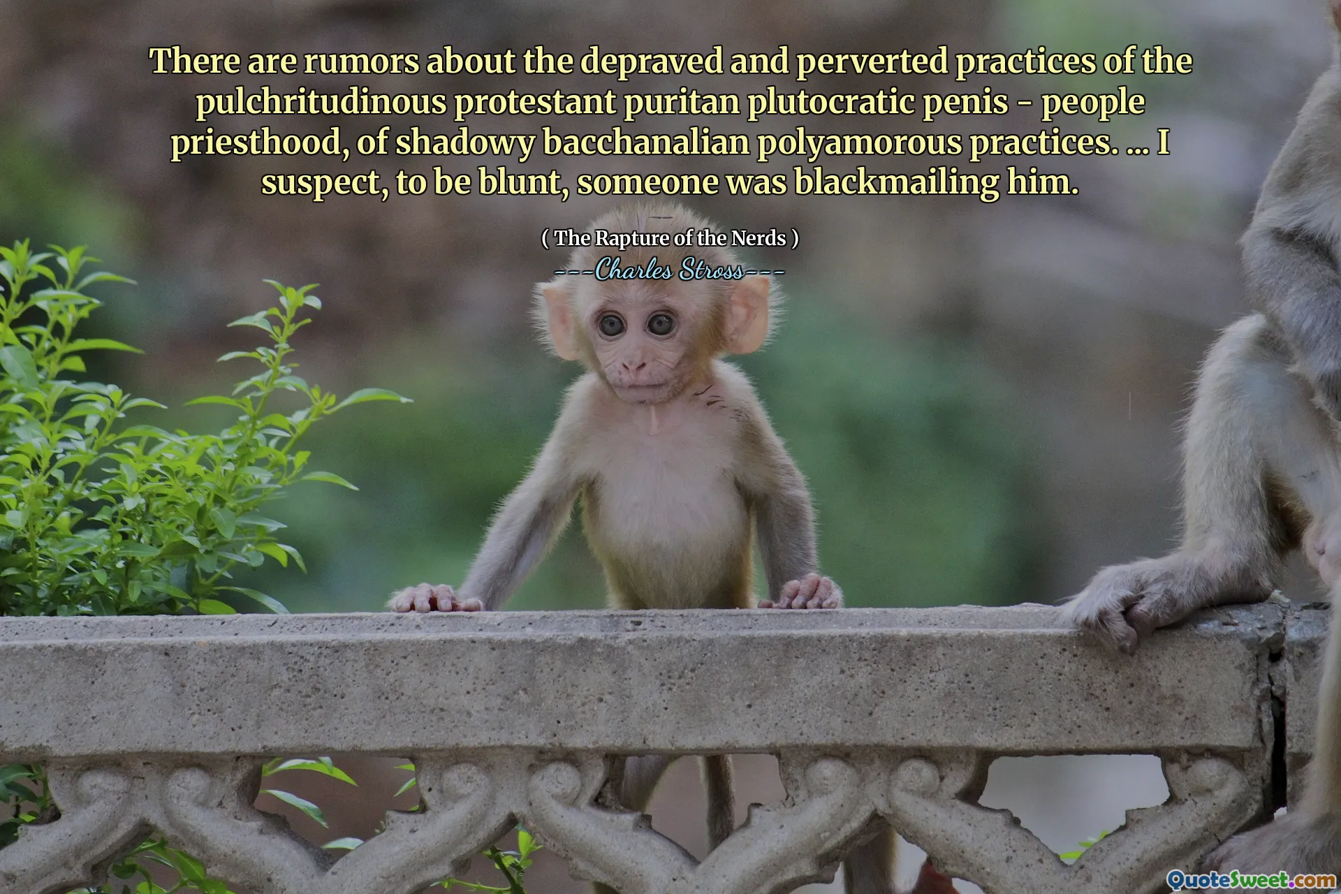 There are rumors about the depraved and perverted practices of the pulchritudinous protestant puritan plutocratic penis - people priesthood, of shadowy bacchanalian polyamorous practices. ... I suspect, to be blunt, someone was blackmailing him.