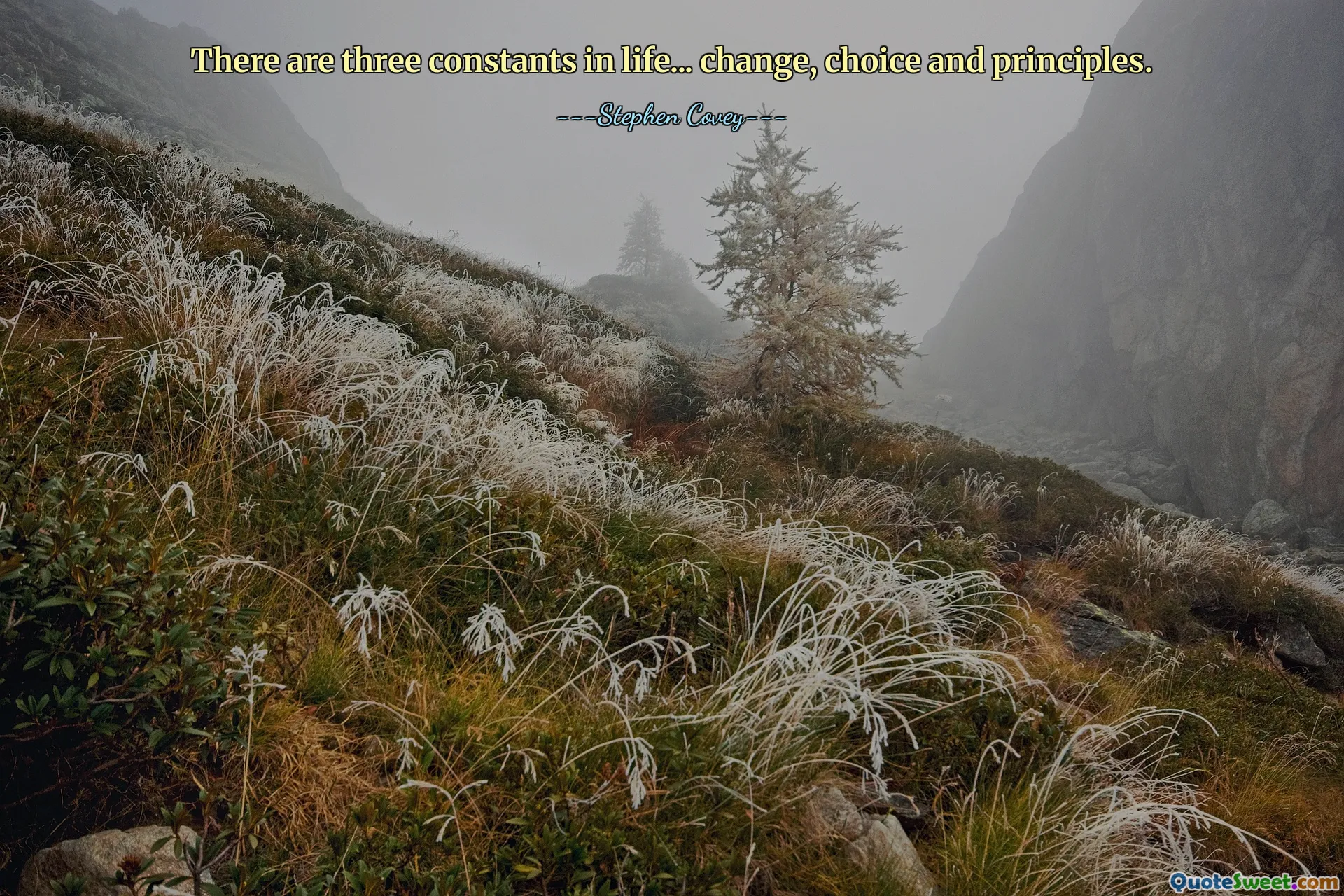 जीवन में तीन स्थिरांक हैं... परिवर्तन, विकल्प और सिद्धांत।