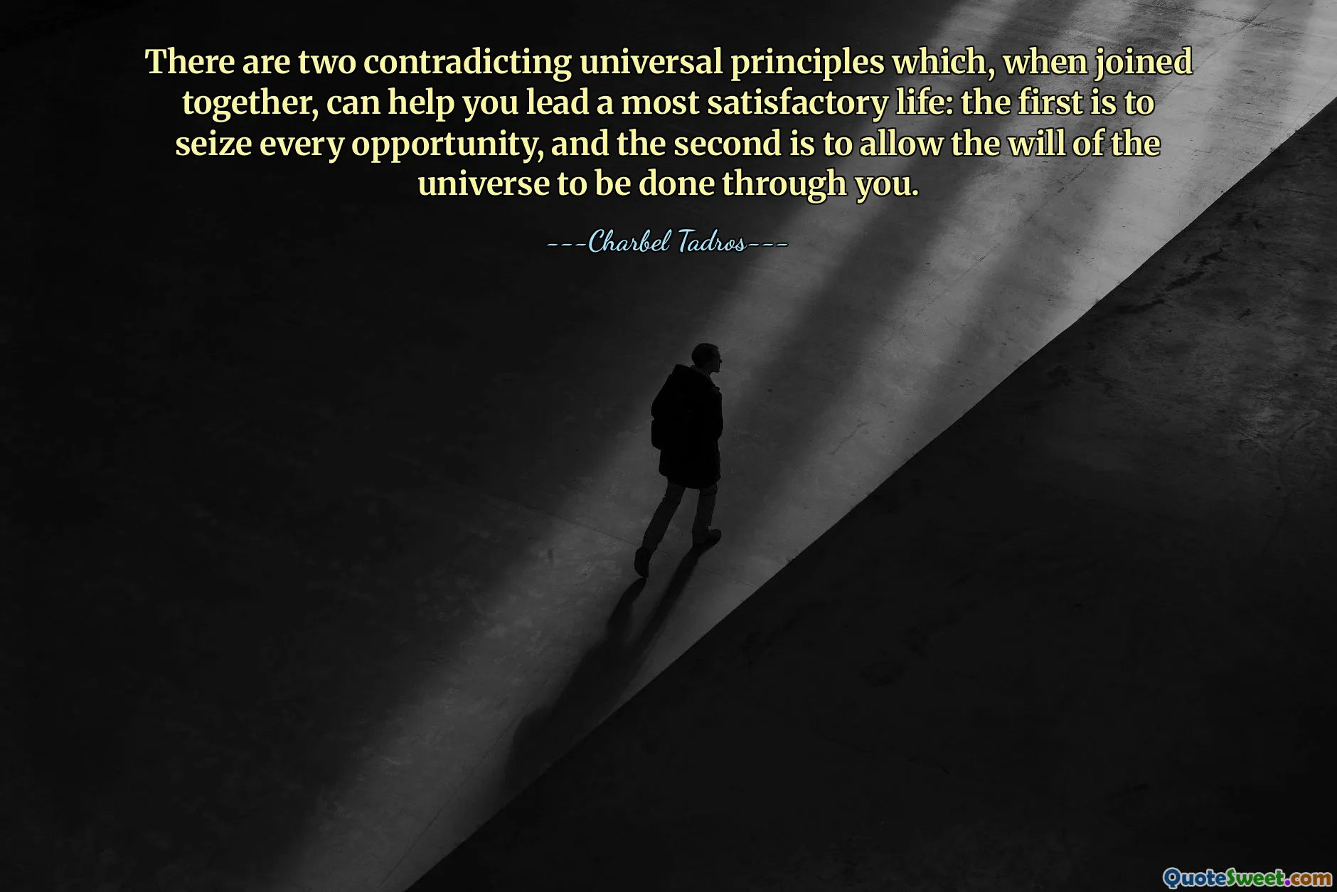 There are two contradicting universal principles which, when joined together, can help you lead a most satisfactory life: the first is to seize every opportunity, and the second is to allow the will of the universe to be done through you.