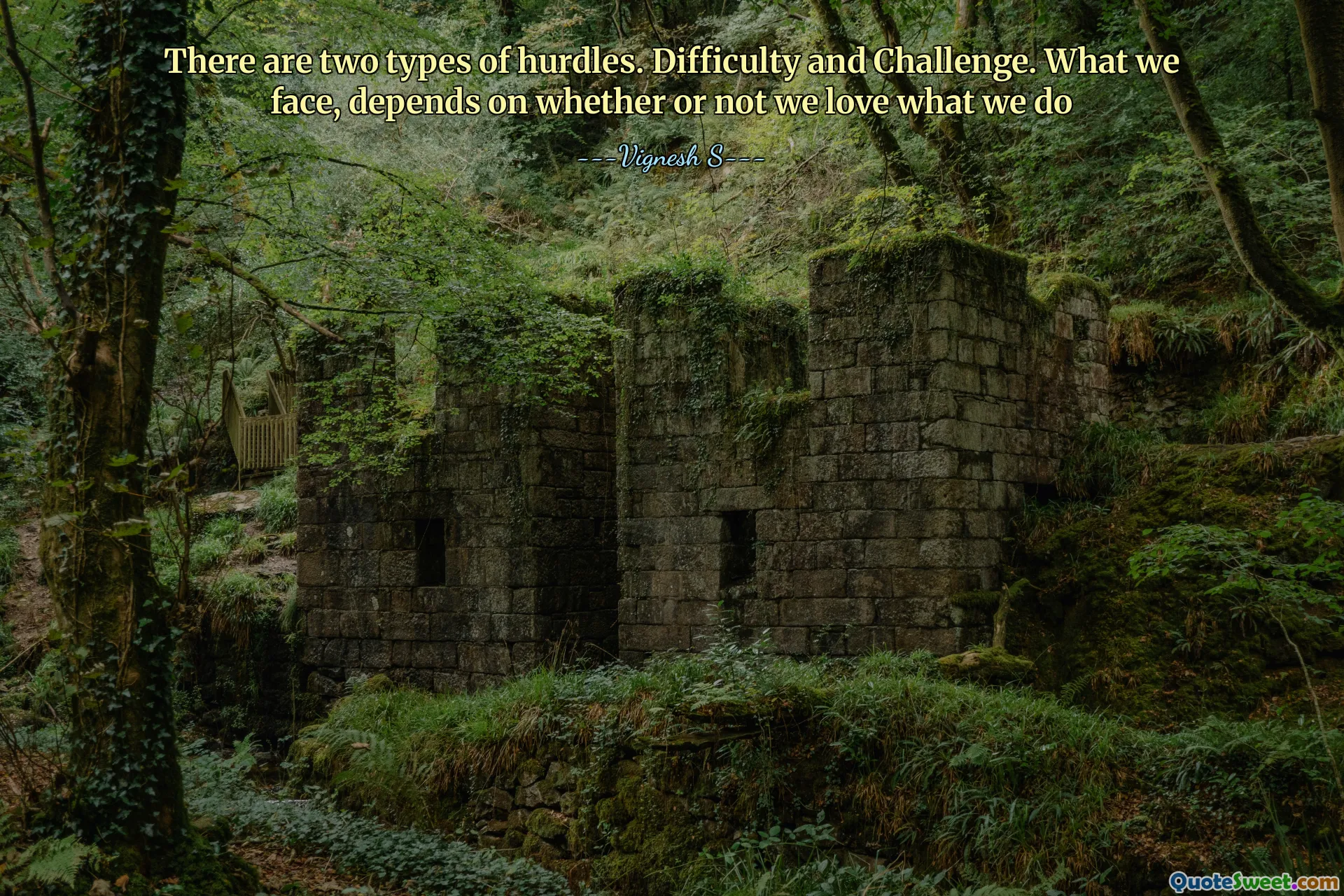 There are two types of hurdles. Difficulty and Challenge. What we face, depends on whether or not we love what we do