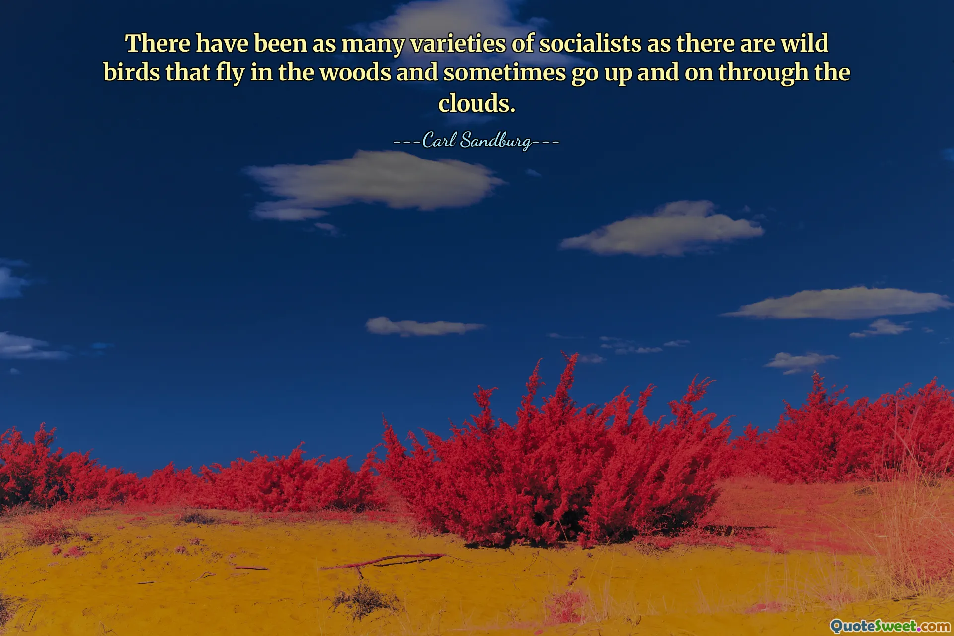 Đã có nhiều loại người theo chủ nghĩa xã hội cũng như có nhiều loài chim hoang dã bay trong rừng và đôi khi bay lên cao xuyên qua những đám mây.