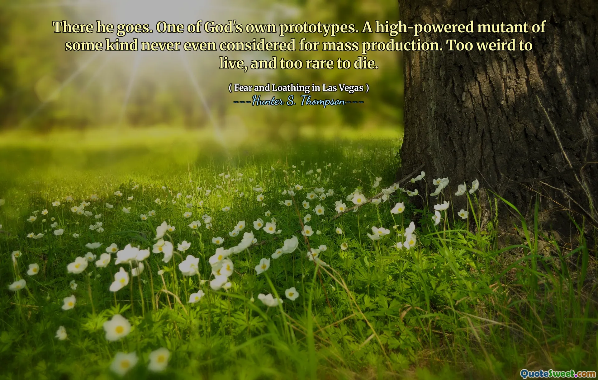 Dort geht er. Einer der eigenen Prototypen Gottes. Eine leistungsstarke Mutante irgendeiner Art, die für die Massenproduktion noch nie in Betracht gezogen wurde. Zu seltsam zum Leben und zu selten, um zu sterben.