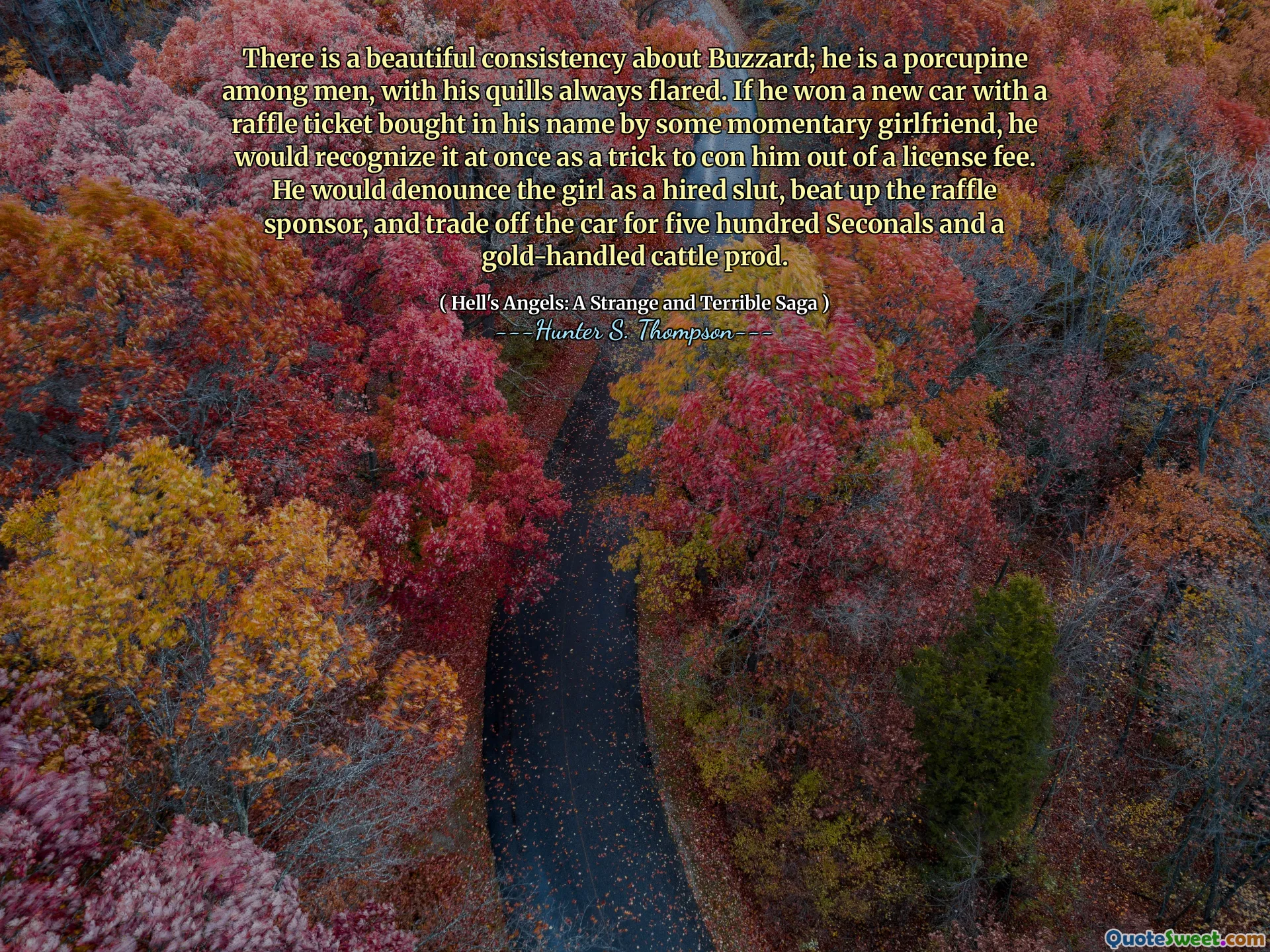 There is a beautiful consistency about Buzzard; he is a porcupine among men, with his quills always flared. If he won a new car with a raffle ticket bought in his name by some momentary girlfriend, he would recognize it at once as a trick to con him out of a license fee. He would denounce the girl as a hired slut, beat up the raffle sponsor, and trade off the car for five hundred Seconals and a gold-handled cattle prod.