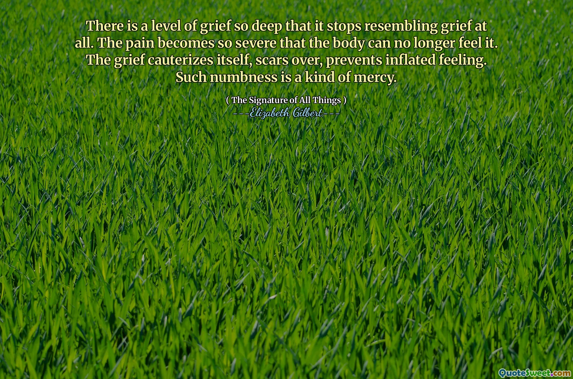 There is a level of grief so deep that it stops resembling grief at all. The pain becomes so severe that the body can no longer feel it. The grief cauterizes itself, scars over, prevents inflated feeling. Such numbness is a kind of mercy.
