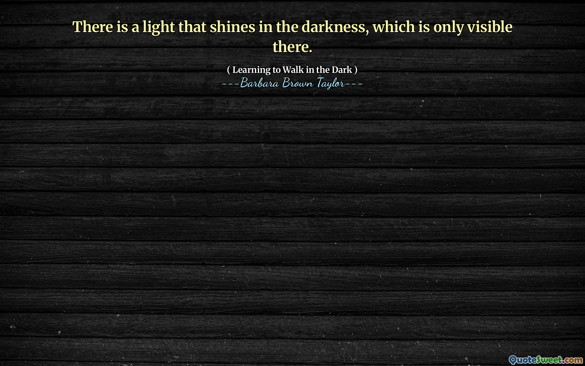 There is a light that shines in the darkness, which is only visible there.