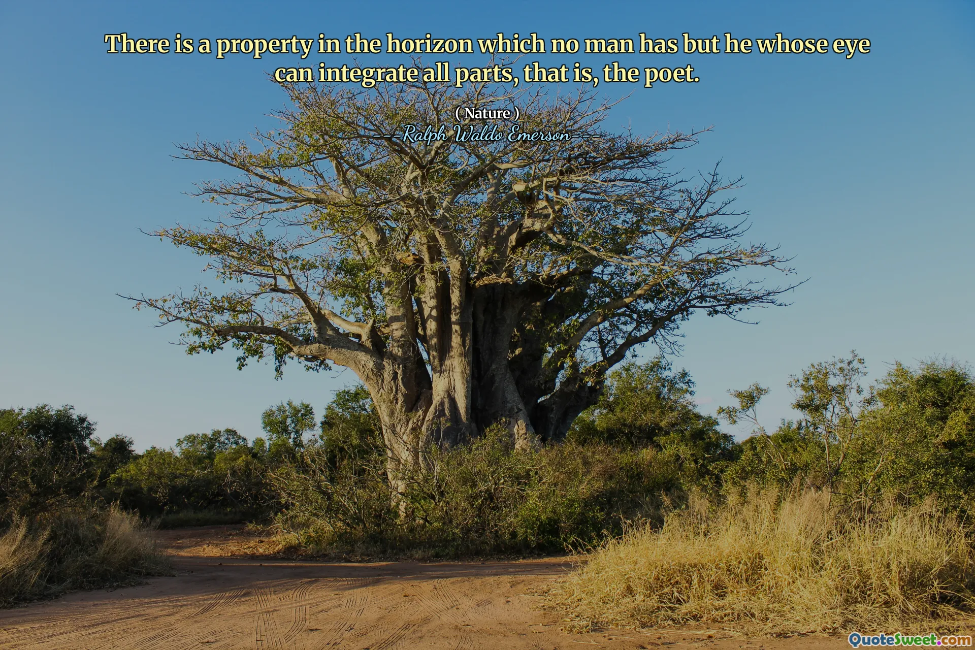 There is a property in the horizon which no man has but he whose eye can integrate all parts, that is, the poet.