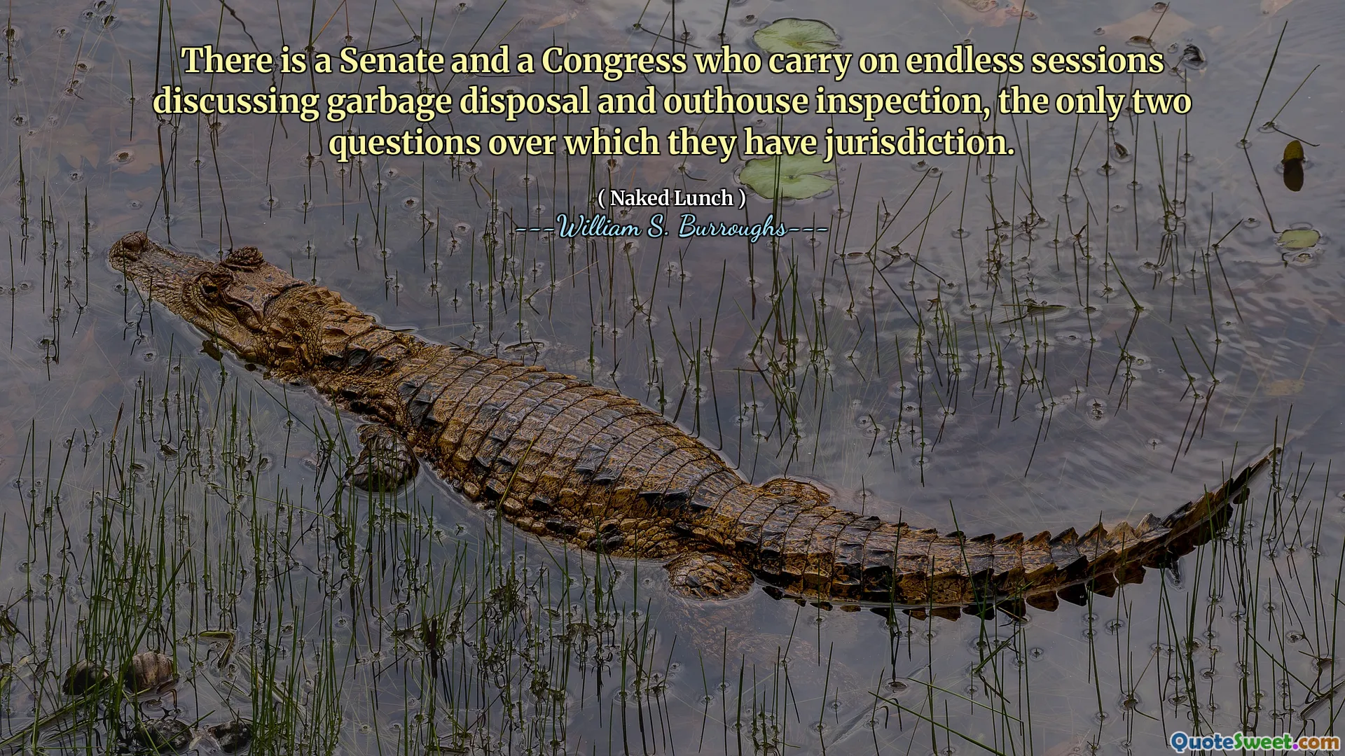 Istnieje Senat i Kongres, które prowadzą niekończące się sesje omawiające usuwanie śmieci i inspekcję nadużytą, jedyne dwa pytania, nad którymi mają jurysdykcję.