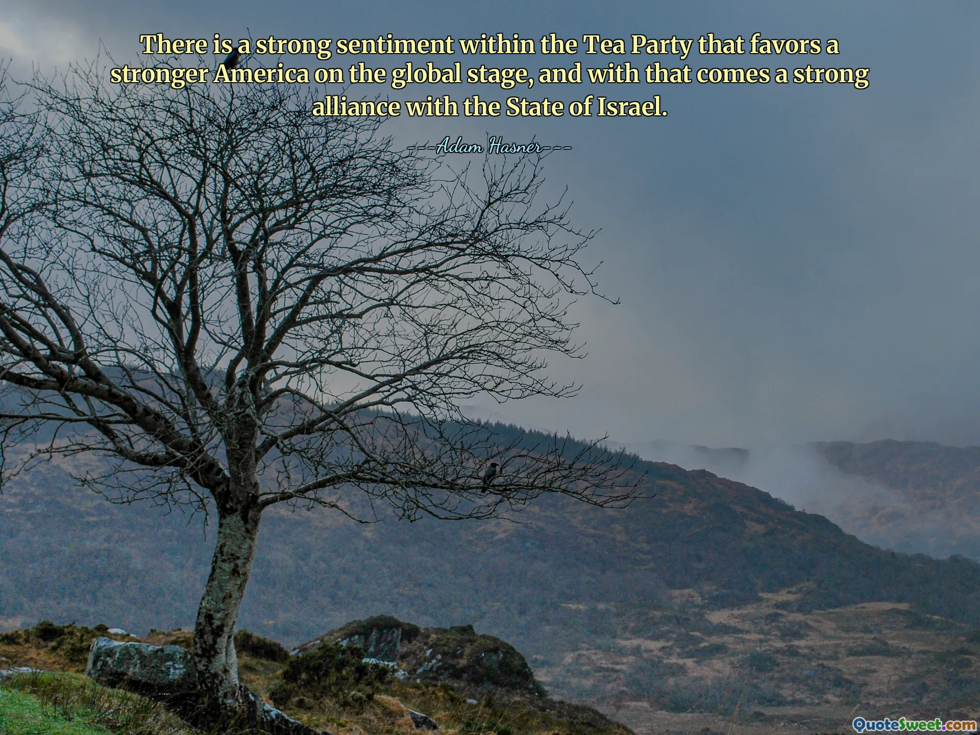 茶党内部有一种强烈的情绪，支持在全球舞台上建立一个更强大的美国，随之而来的是与以色列国的强大联盟。
