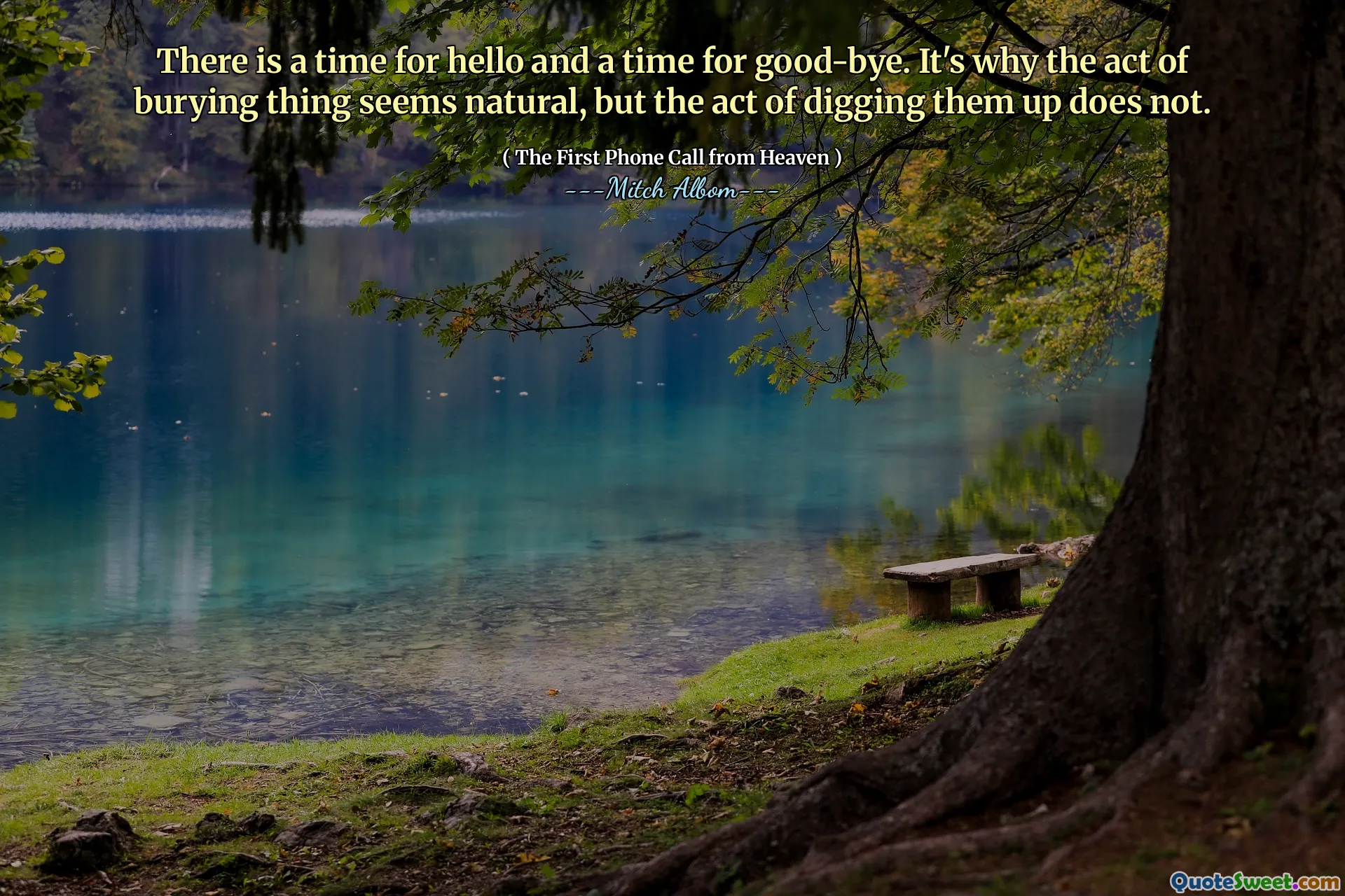 There is a time for hello and a time for good-bye. It's why the act of burying thing seems natural, but the act of digging them up does not.