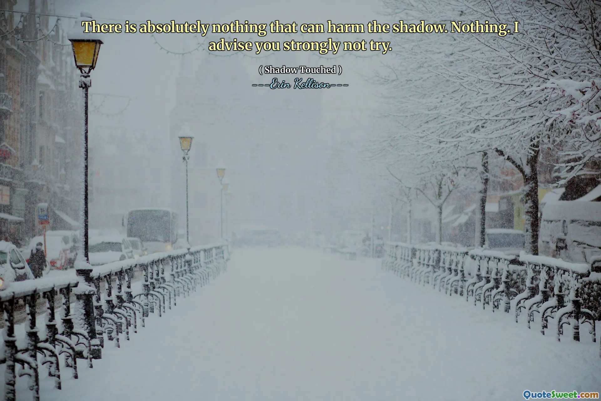 There is absolutely nothing that can harm the shadow. Nothing. I advise you strongly not try.