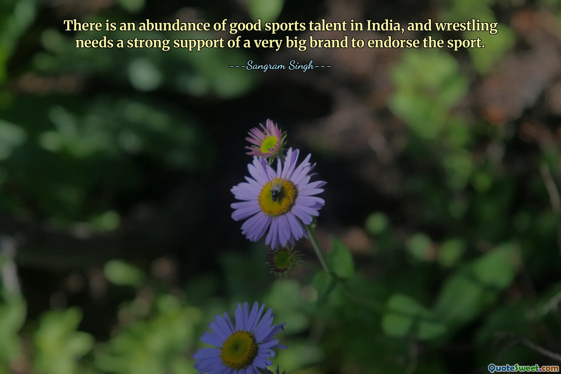 ინდოეთში კარგი სპორტული ნიჭის სიმრავლეა და ჭიდაობას სჭირდება ძალიან დიდი ბრენდის ძლიერი მხარდაჭერა სპორტის დასამტკიცებლად.