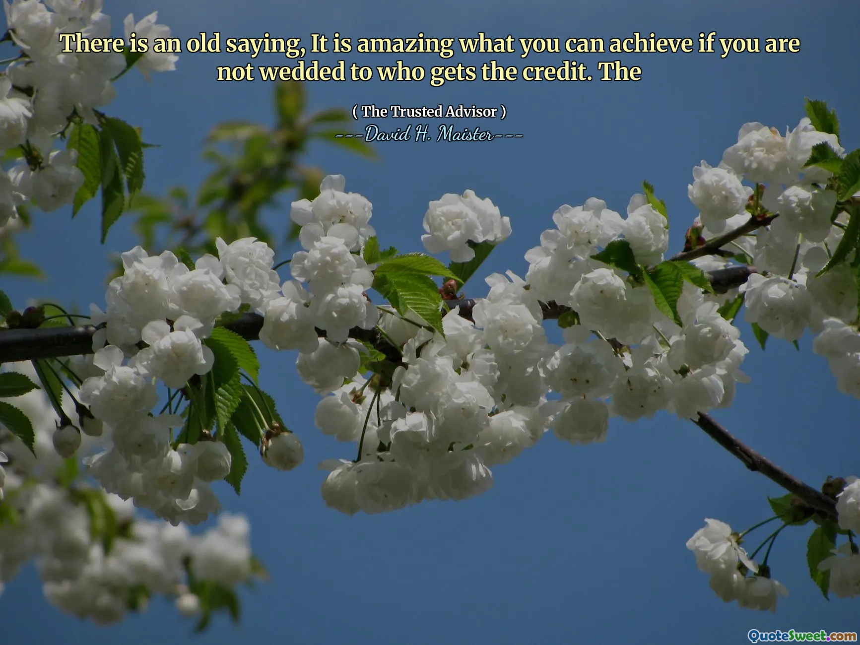 एक पुरानी कहावत है, यह आश्चर्यजनक है कि आप क्या हासिल कर सकते हैं यदि आप किसे क्रेडिट प्राप्त नहीं करते हैं।