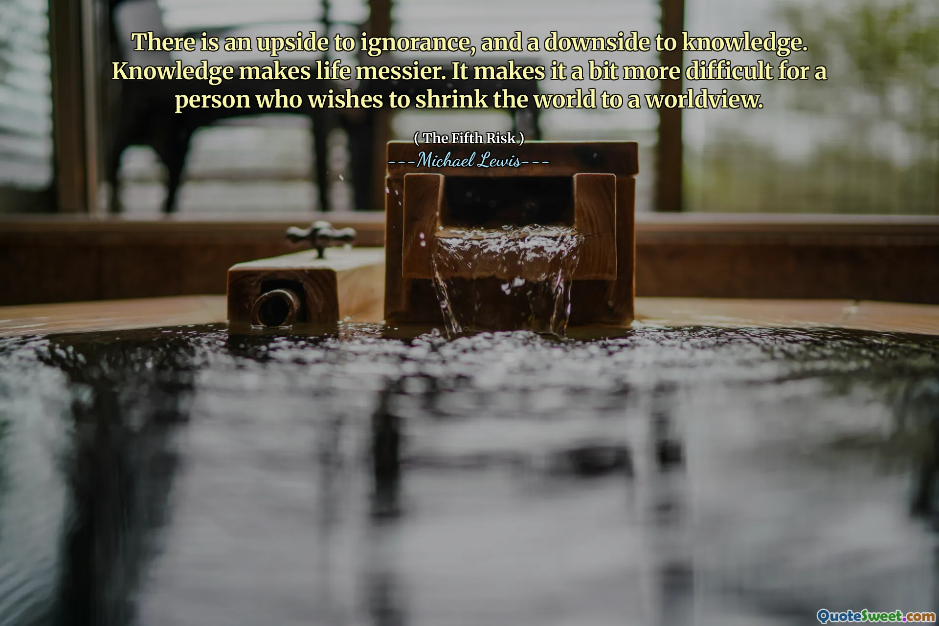 هناك جانبًا صعوديًا للجهل ، والجانب السلبي للمعرفة. المعرفة تجعل الحياة أكثر فوضى. إنه يجعل الأمر أكثر صعوبة بالنسبة للشخص الذي يرغب في تقليص العالم إلى رؤية عالمية.