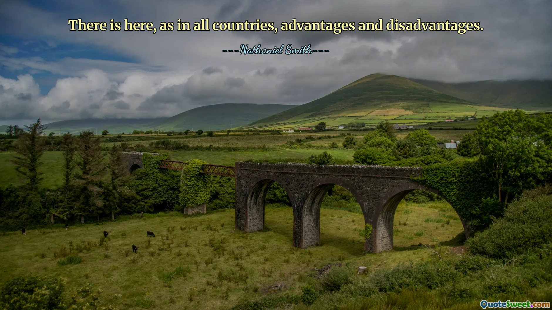 Her ülkede olduğu gibi burada da avantajlar ve dezavantajlar var.