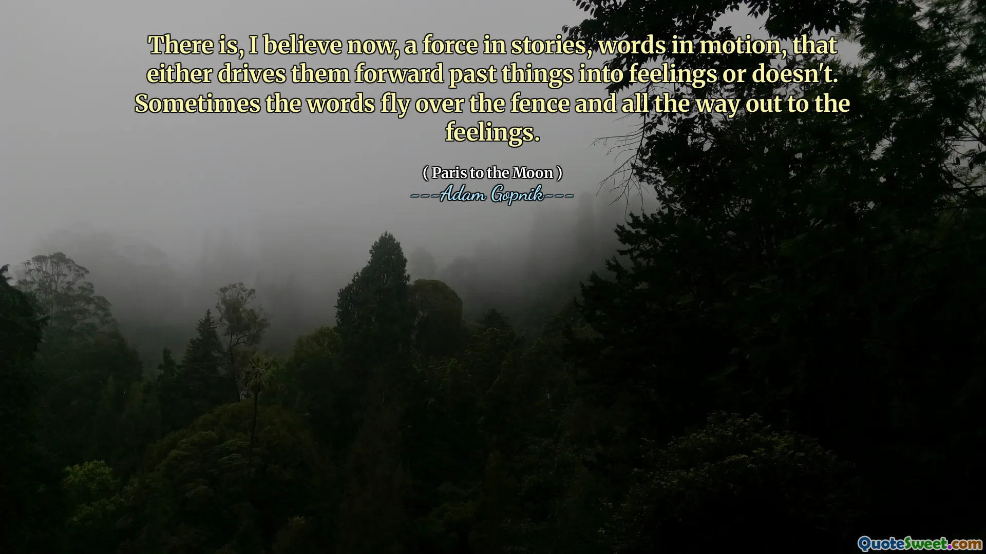 我相信，现在有一支在故事中的力量，动作中的话，要么将它们推向感觉，要么没有。有时，单词飞过篱笆，一直到感受。